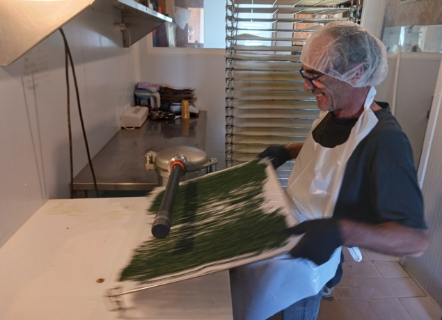 Illustration de l’exploitation La Cabane à Spiruline