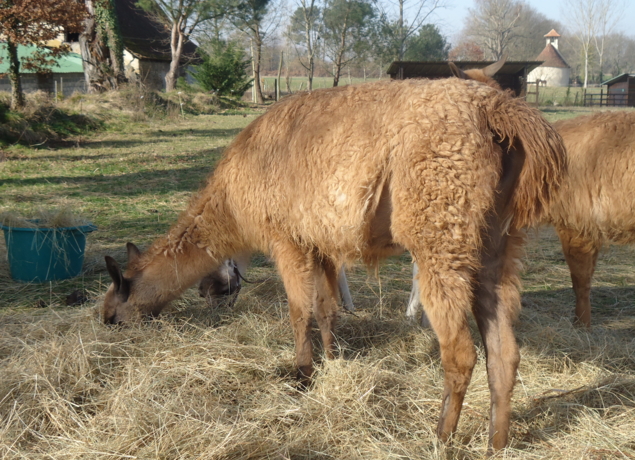Photo de La Pêcherie d'Aurit