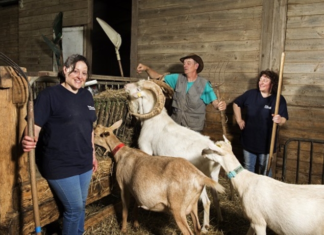 Illustration de l’exploitation ELEVAGE LA DOUDOU
