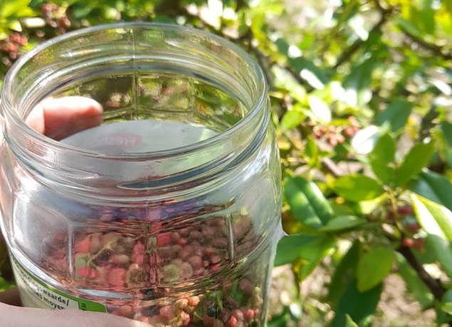 Illustration de l’exploitation LOGIKBIO