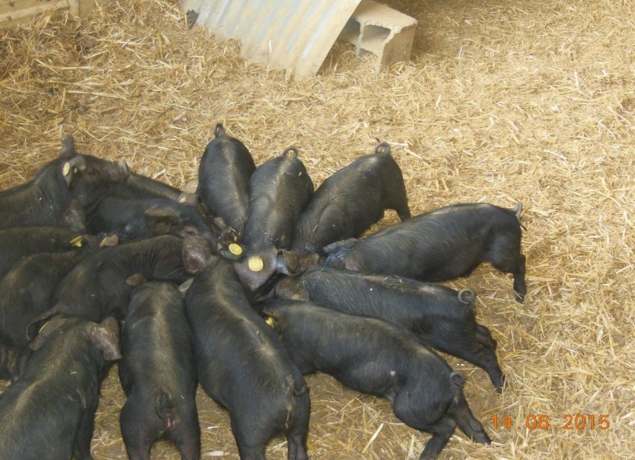 Photo de Domaine Rey