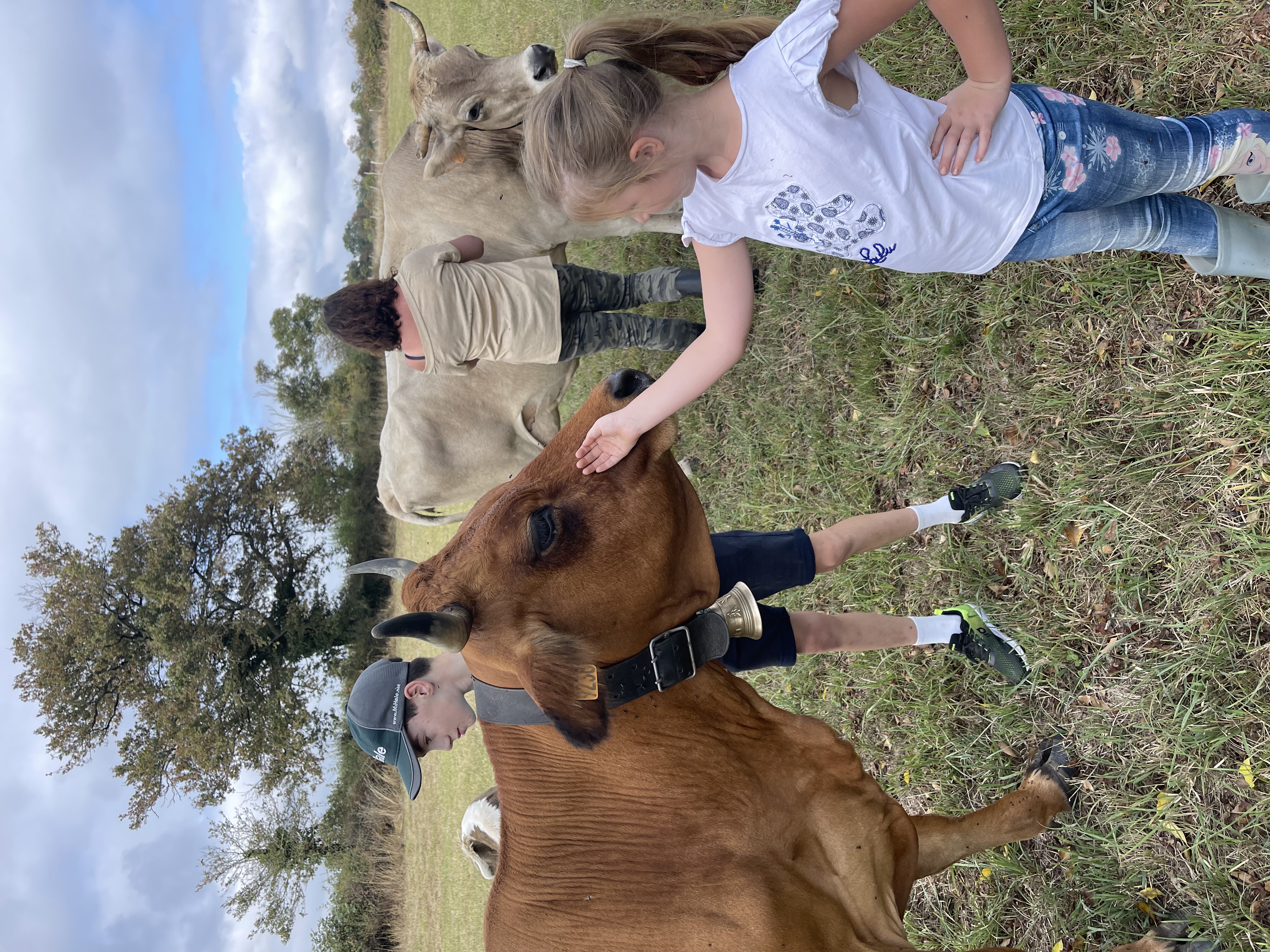 Illustration de l’expérience Immersion à la vallée des vaches