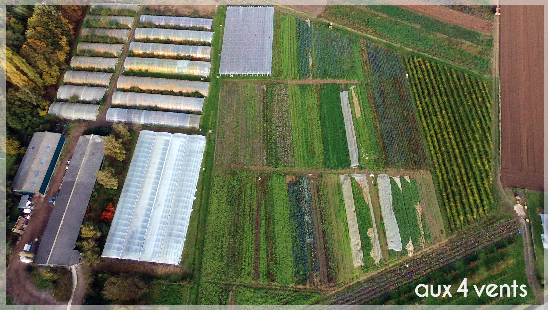 Illustration de l’exploitation Aux 4 vents ferme cueillette