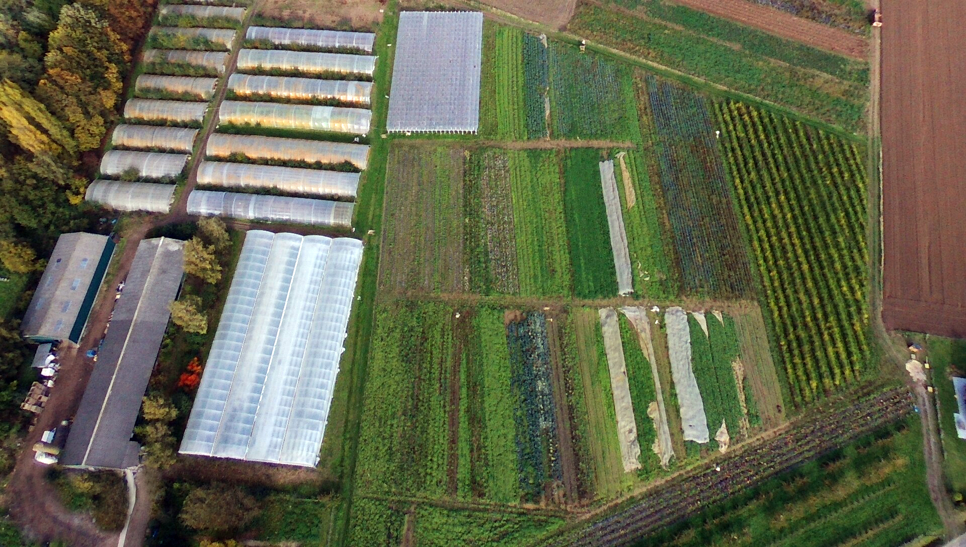 Illustration de l’expérience Cueillette à la ferme