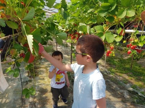 Photo de Cueillette à la ferme