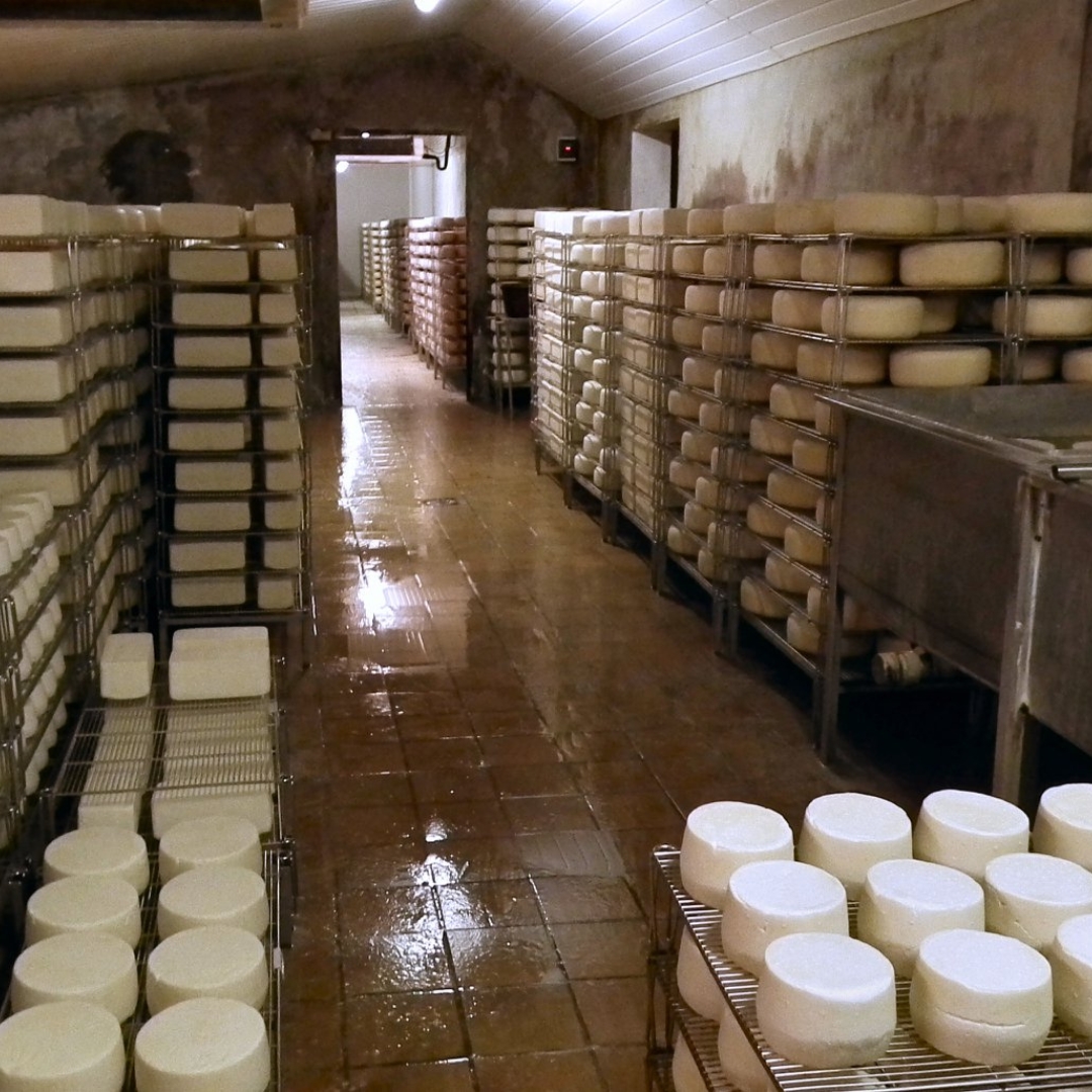 Photo de Découverte de la ferme du Castérieu
