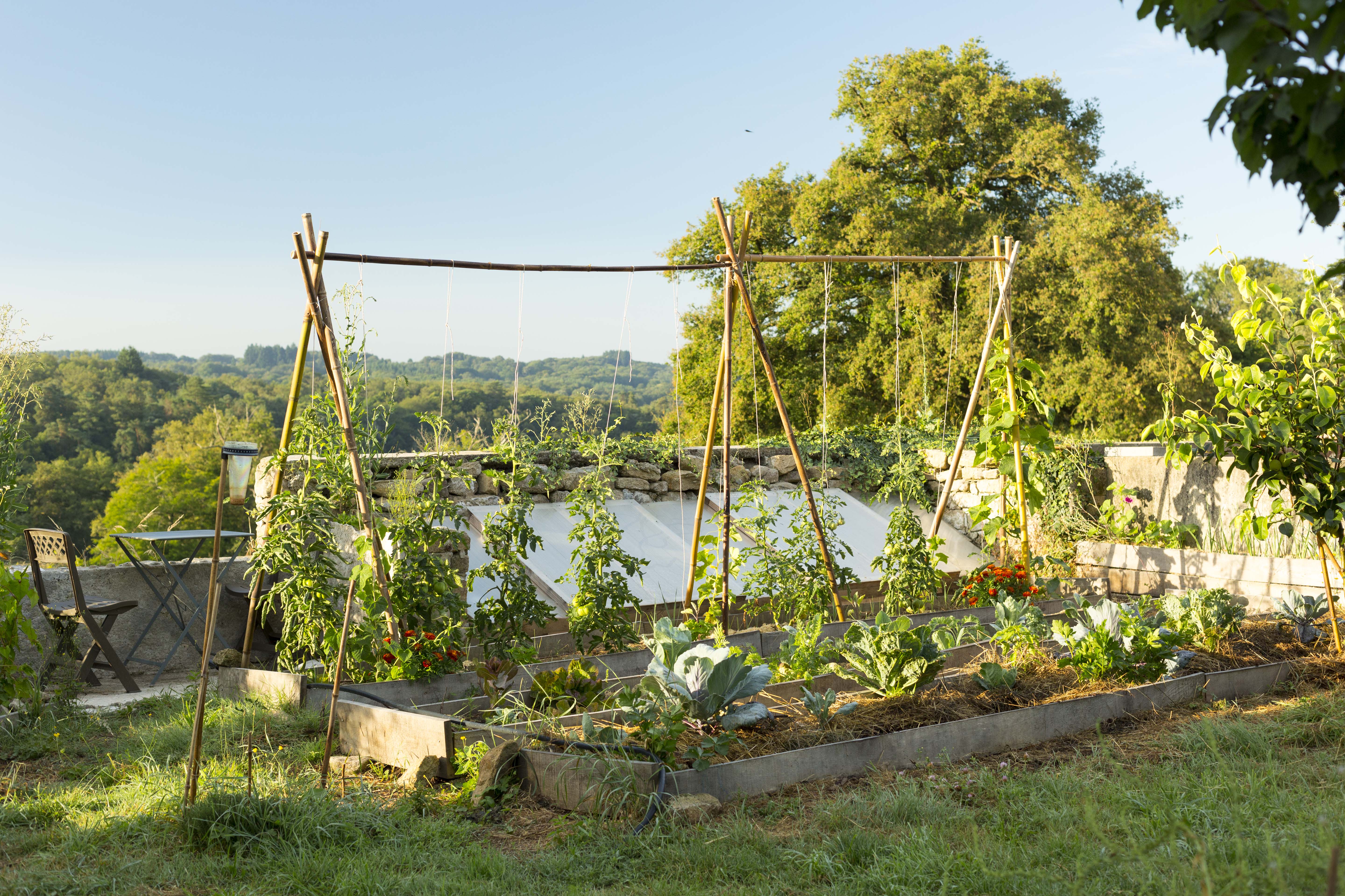 Photo de Jardin-Forêt Les Blaireautins