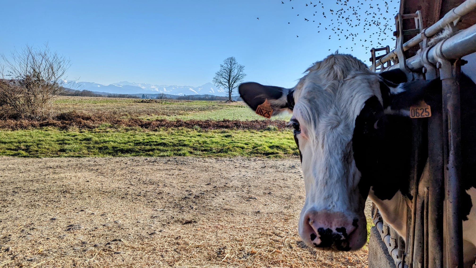 Photo de Gaec ferme du Castérieu 