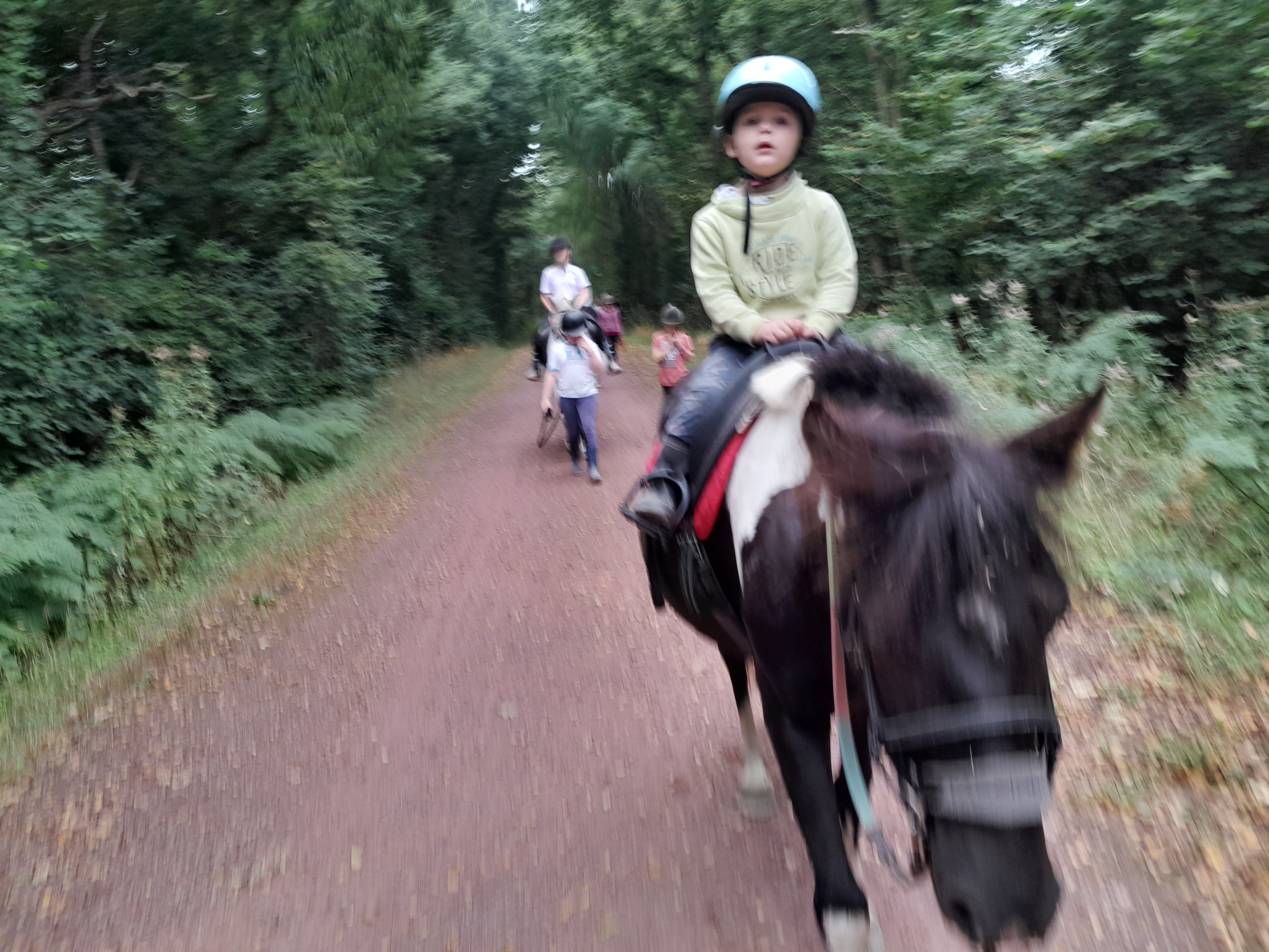 Illustration de l’expérience PROMENADE EN LIBRE MONTEE