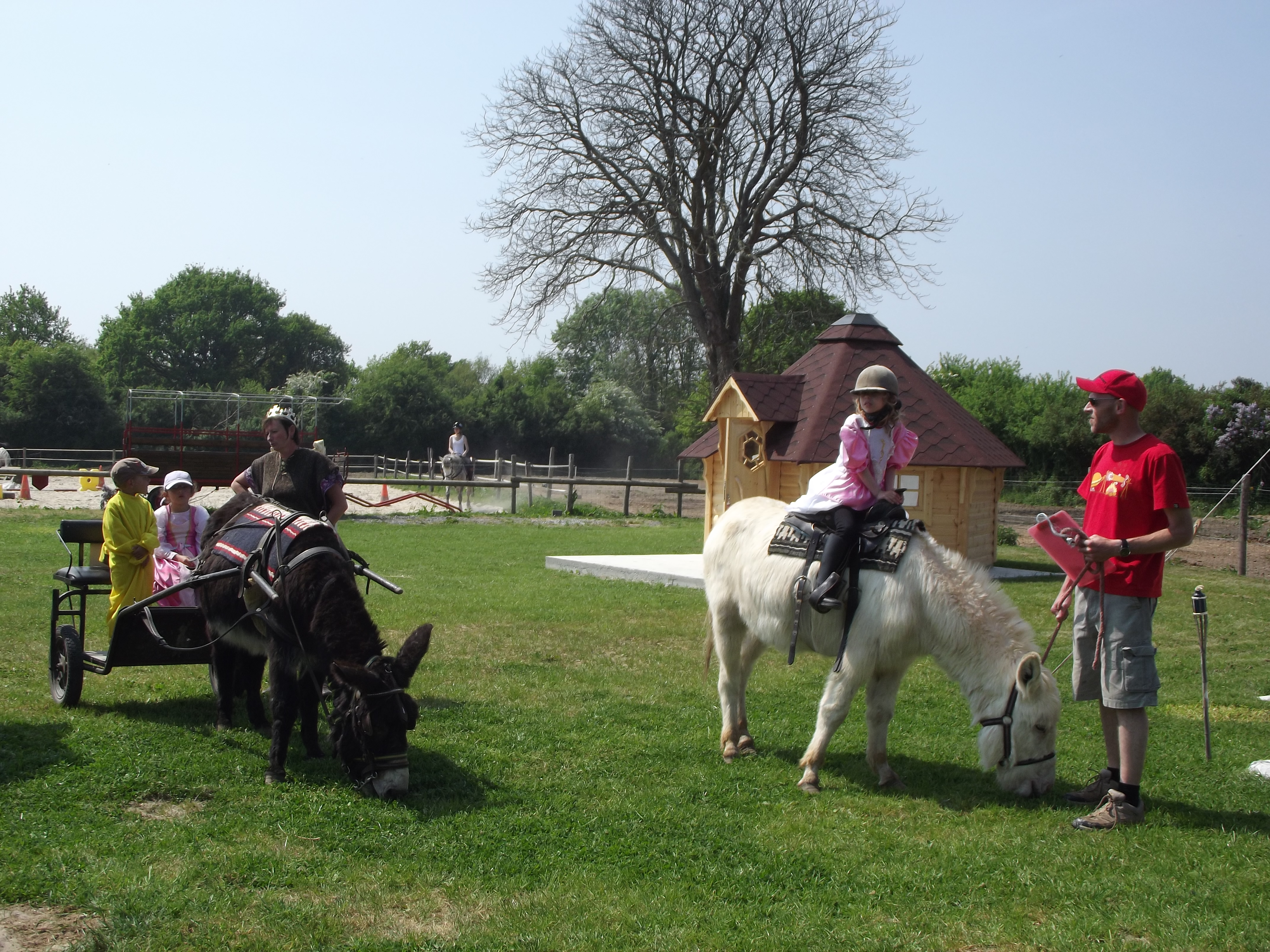 Photo de PROMENADE EN LIBRE MONTEE