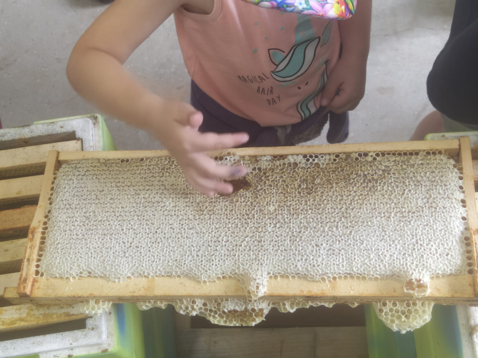 Illustration de l’expérience Portes ouvertes APIWEEK 