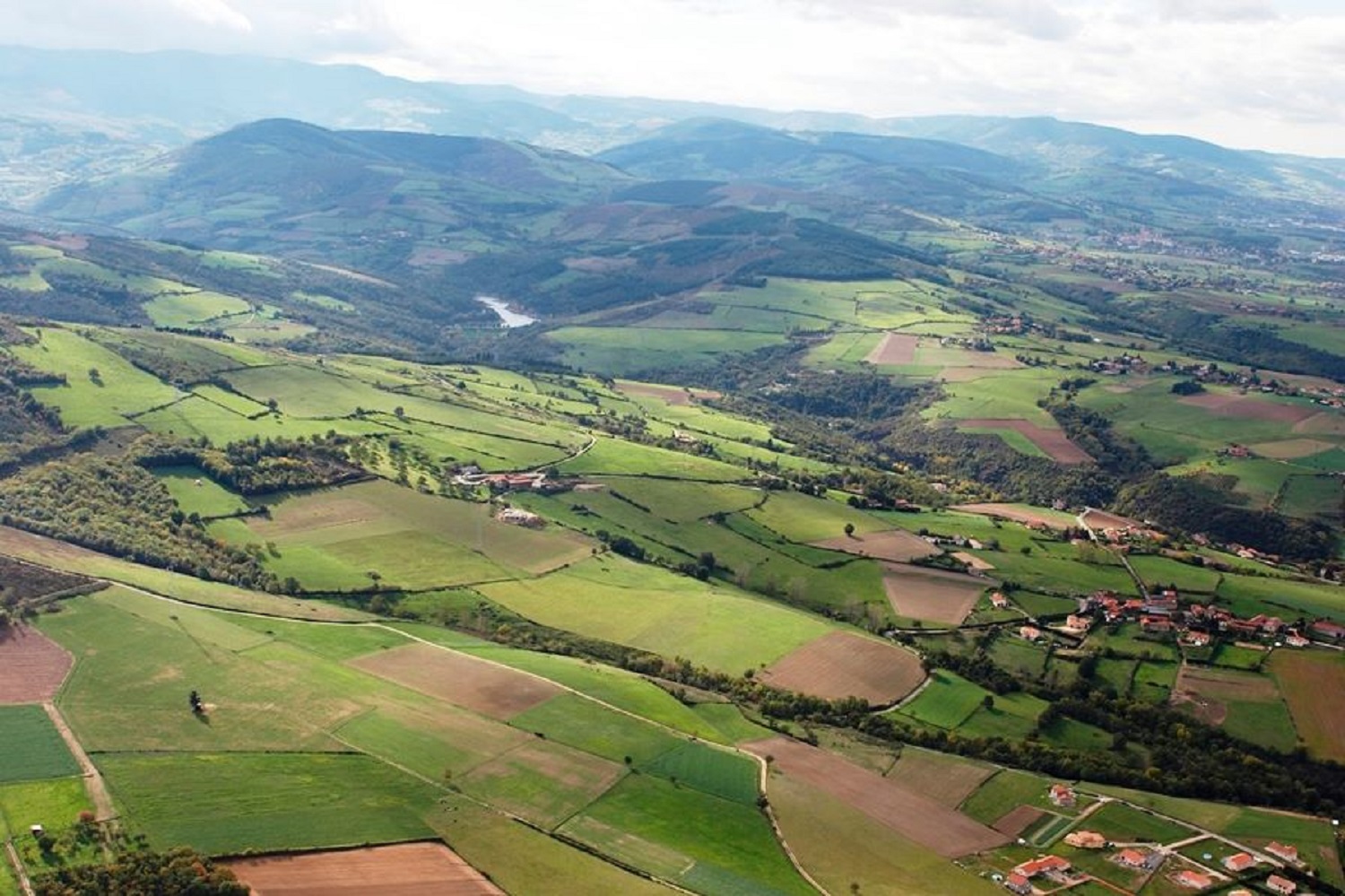 Illustration de l’exploitation Rucher du Pillier