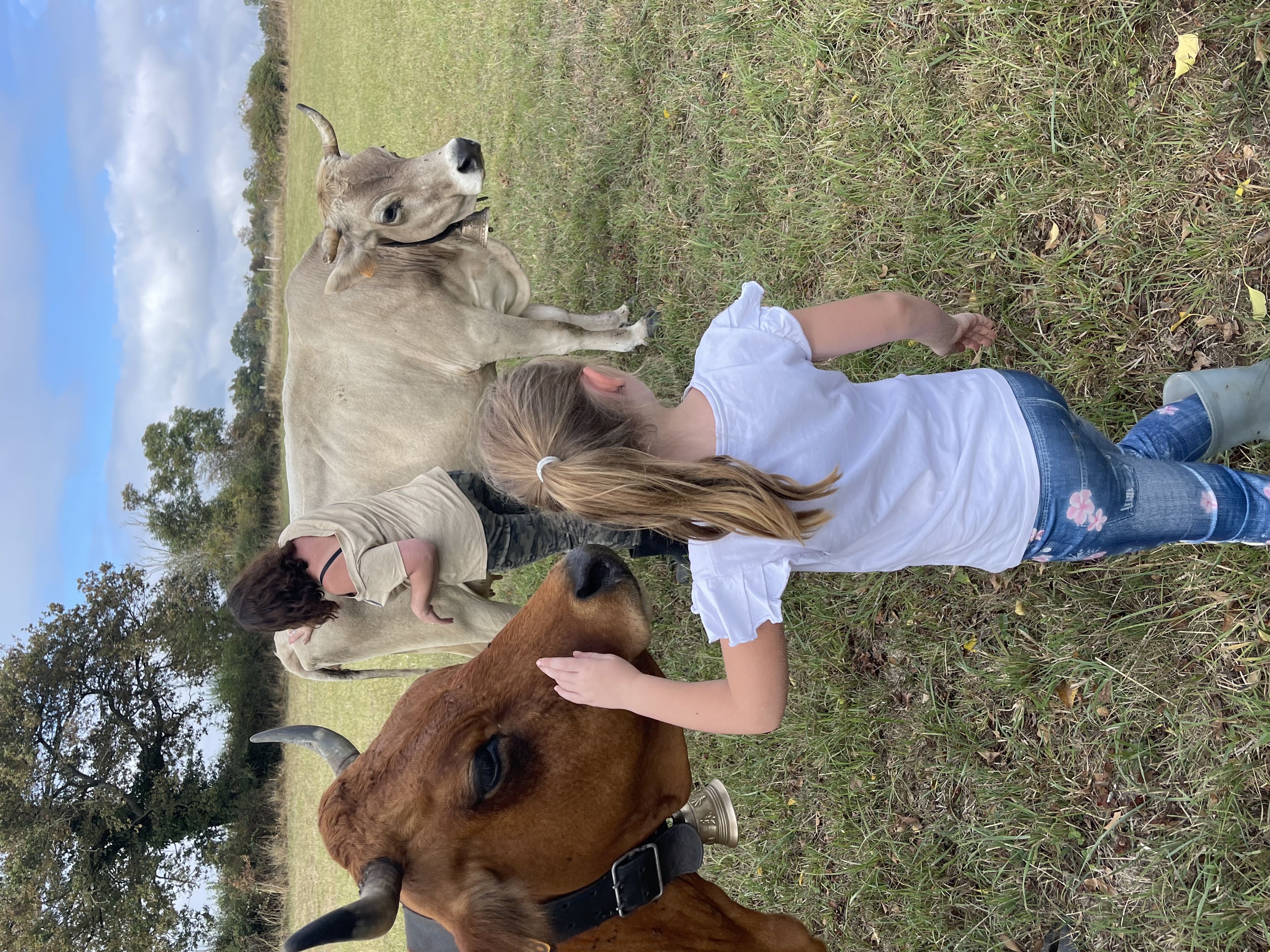 Illustration de l’exploitation La vallée des vaches 