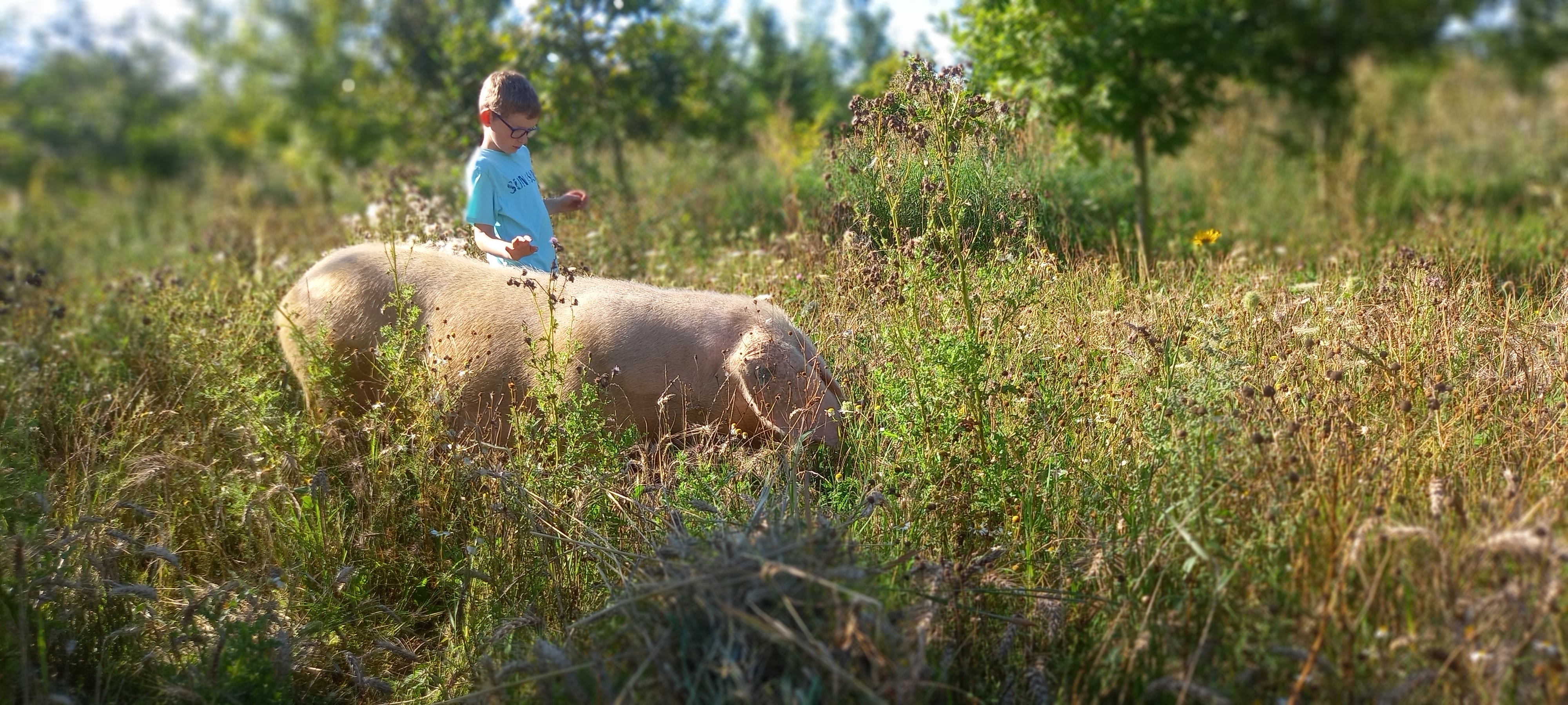 Photo de EARL FERME DEPARIS 
