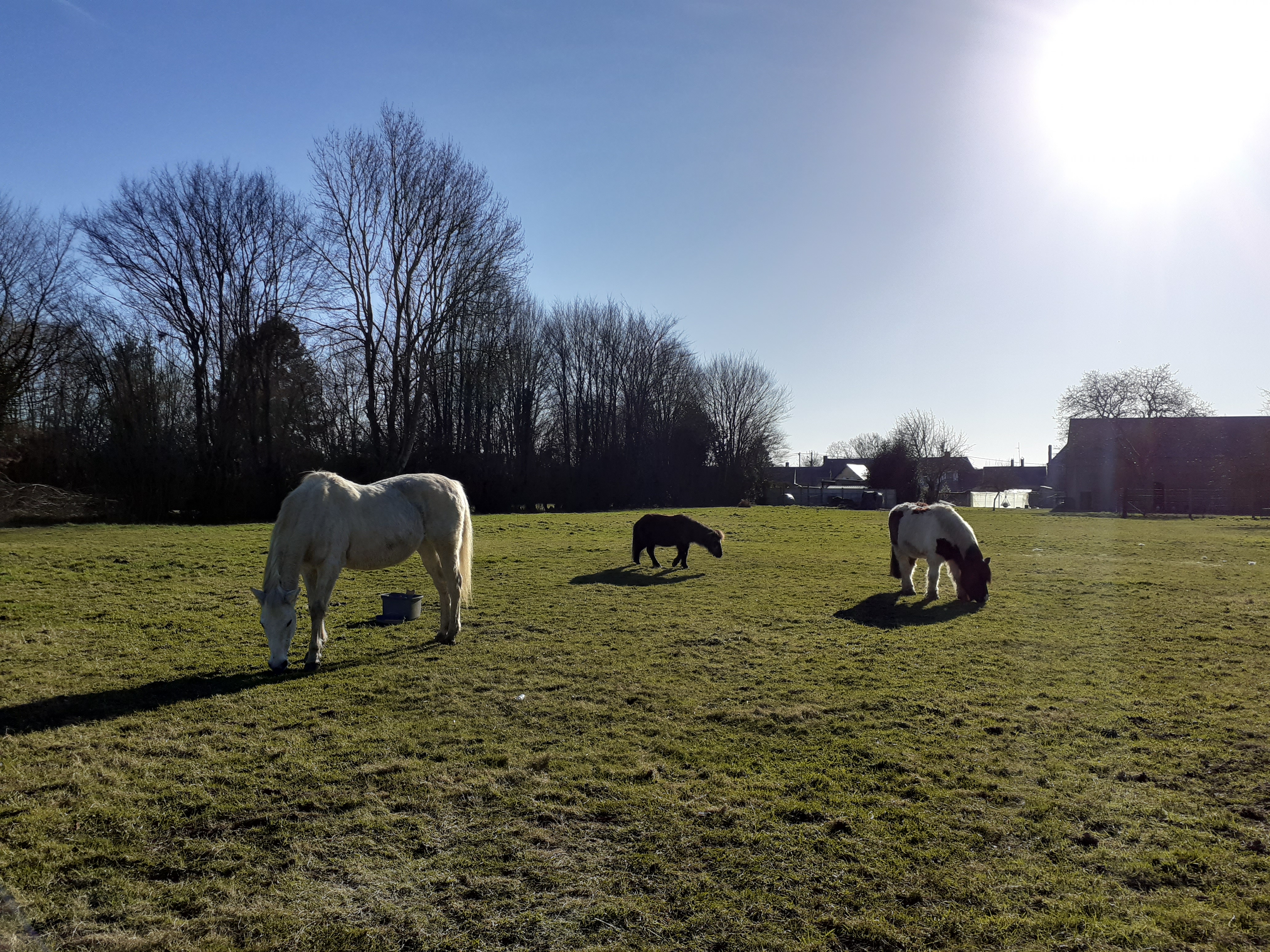 Photo de L'HappyCulture de Lucie