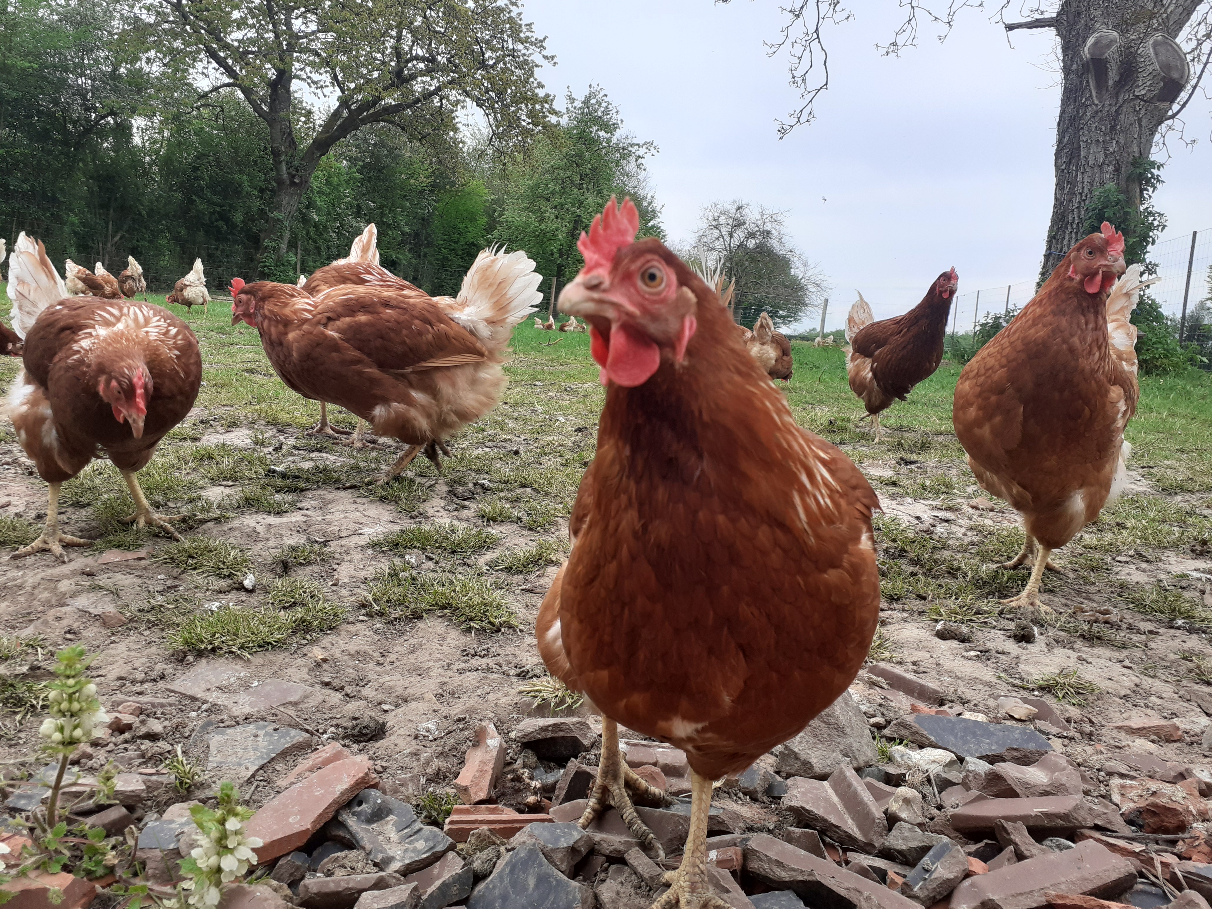 Photo de L'HappyCulture de Lucie