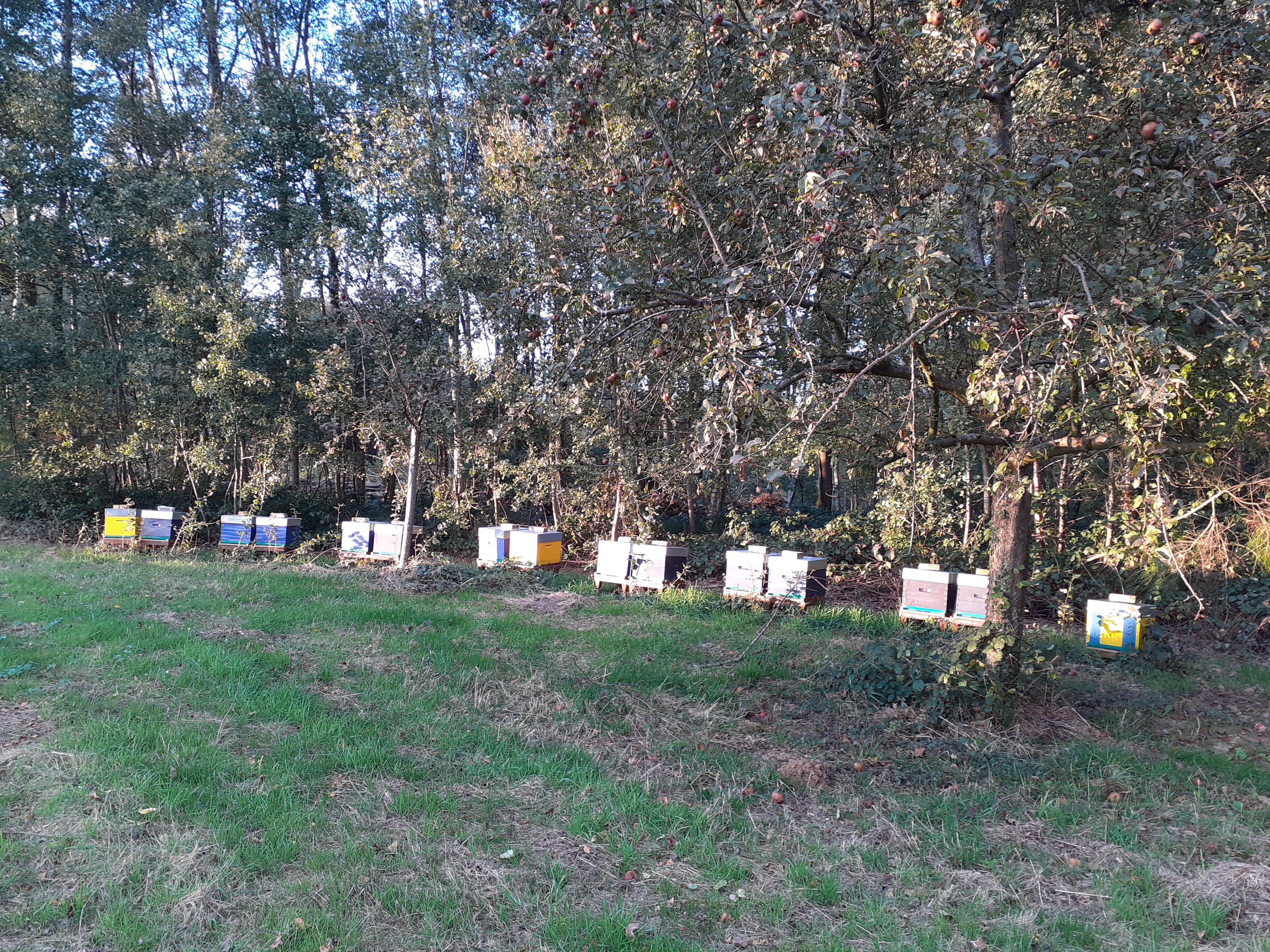 Photo de L'HappyCulture de Lucie