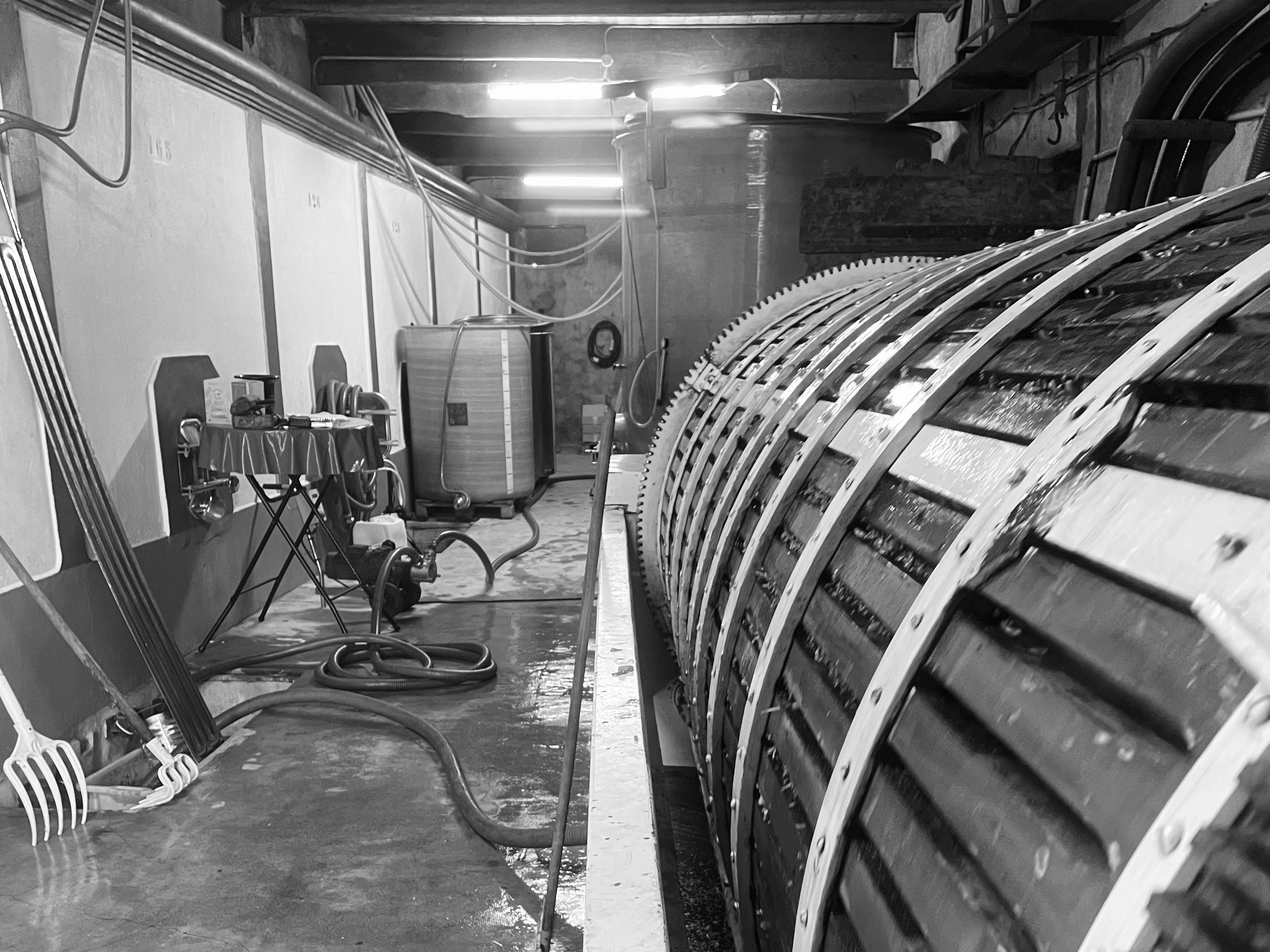 Illustration de l’expérience Dégustation et visite oenotouristique