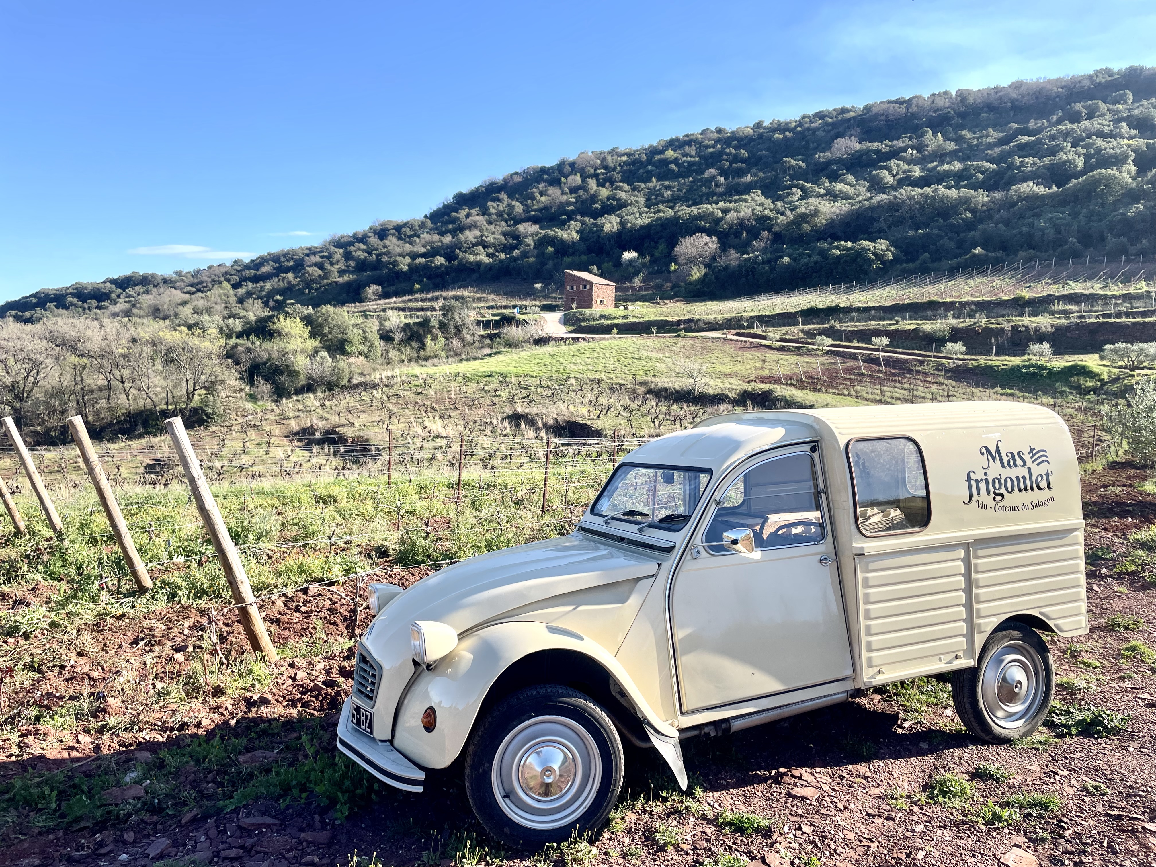 Illustration de l’exploitation Mas Frigoulet