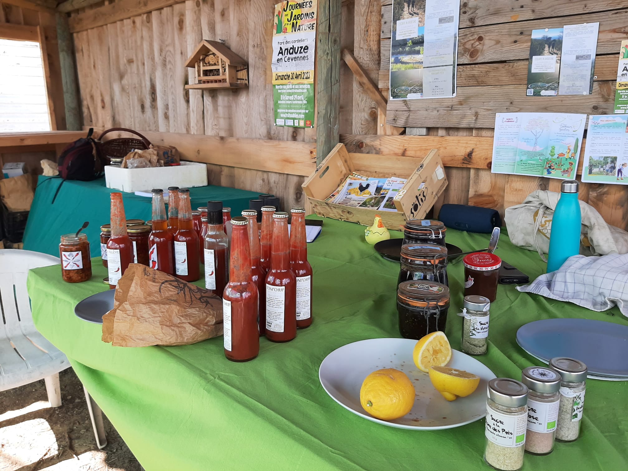 Photo de Fête diversifiée du printemps à la pépinière