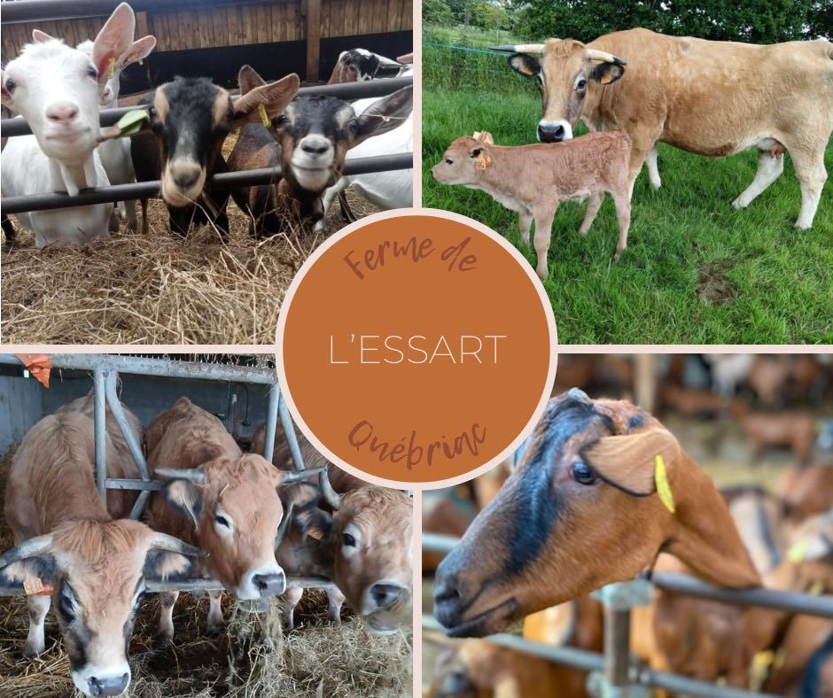 Illustration de l’exploitation Gaec des Pampilles 