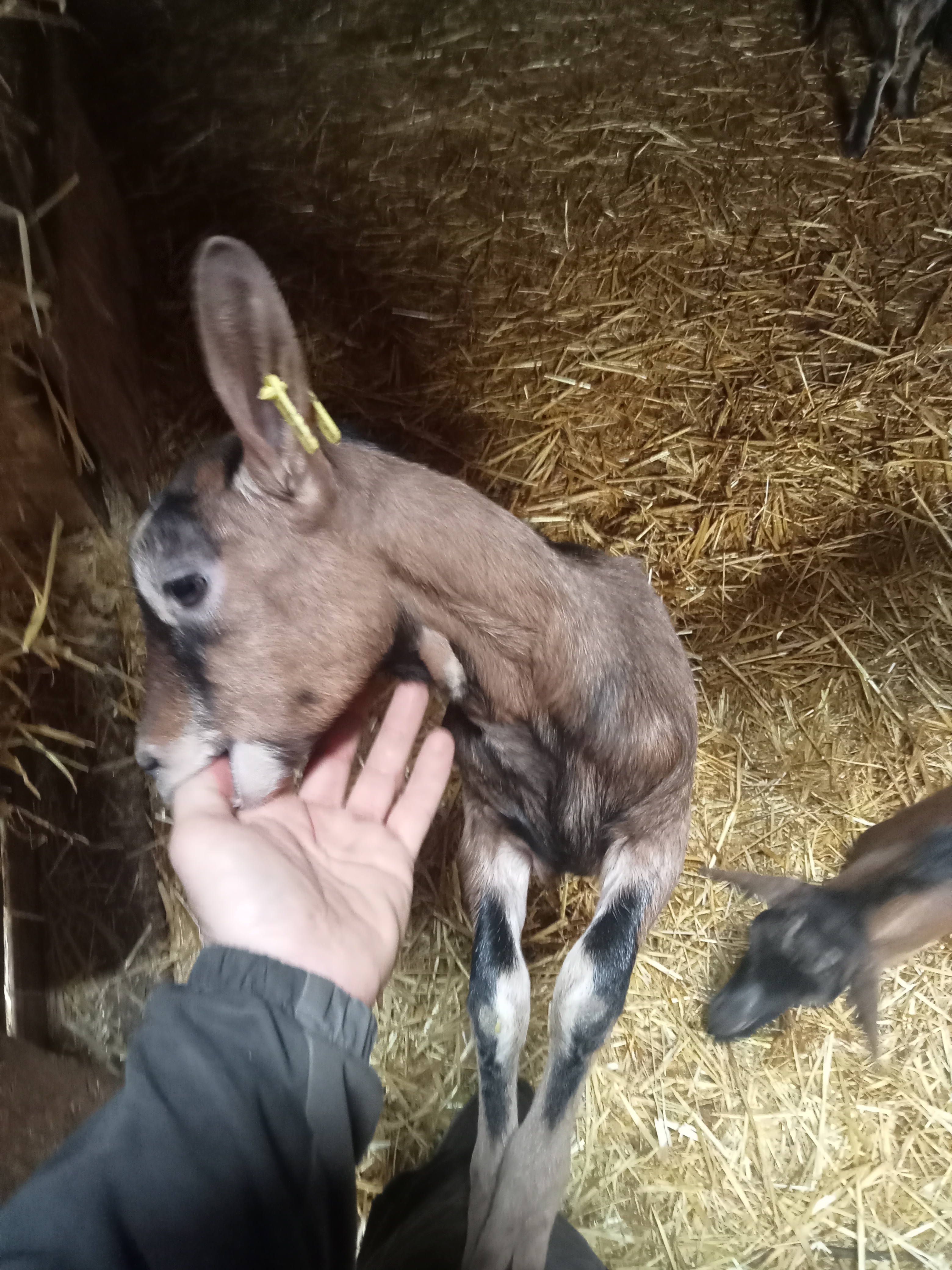 Photo de Gaec des Pampilles 