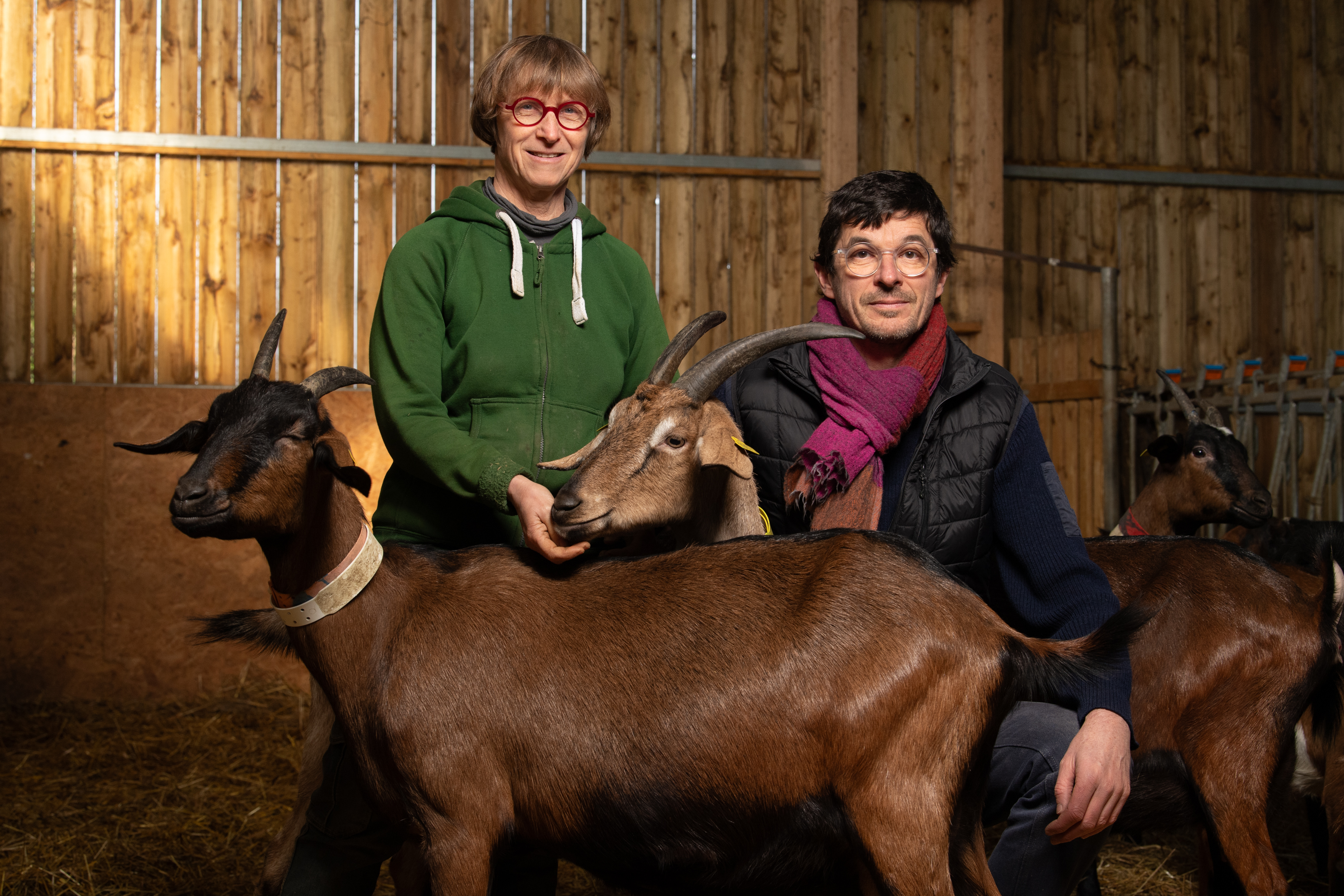 Illustration de l’exploitation Chèvrerie de la Poterie