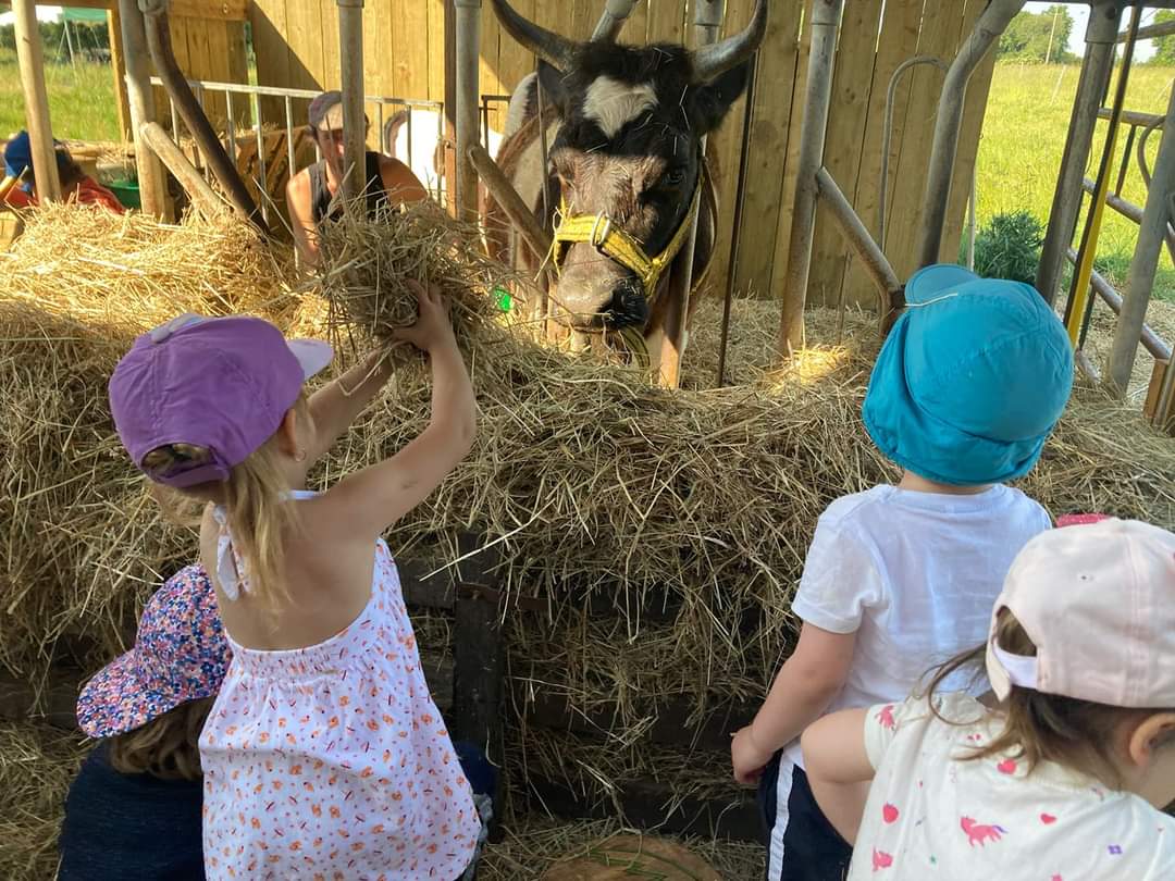 Illustration de l’expérience Les mardis de la Chèvrerie