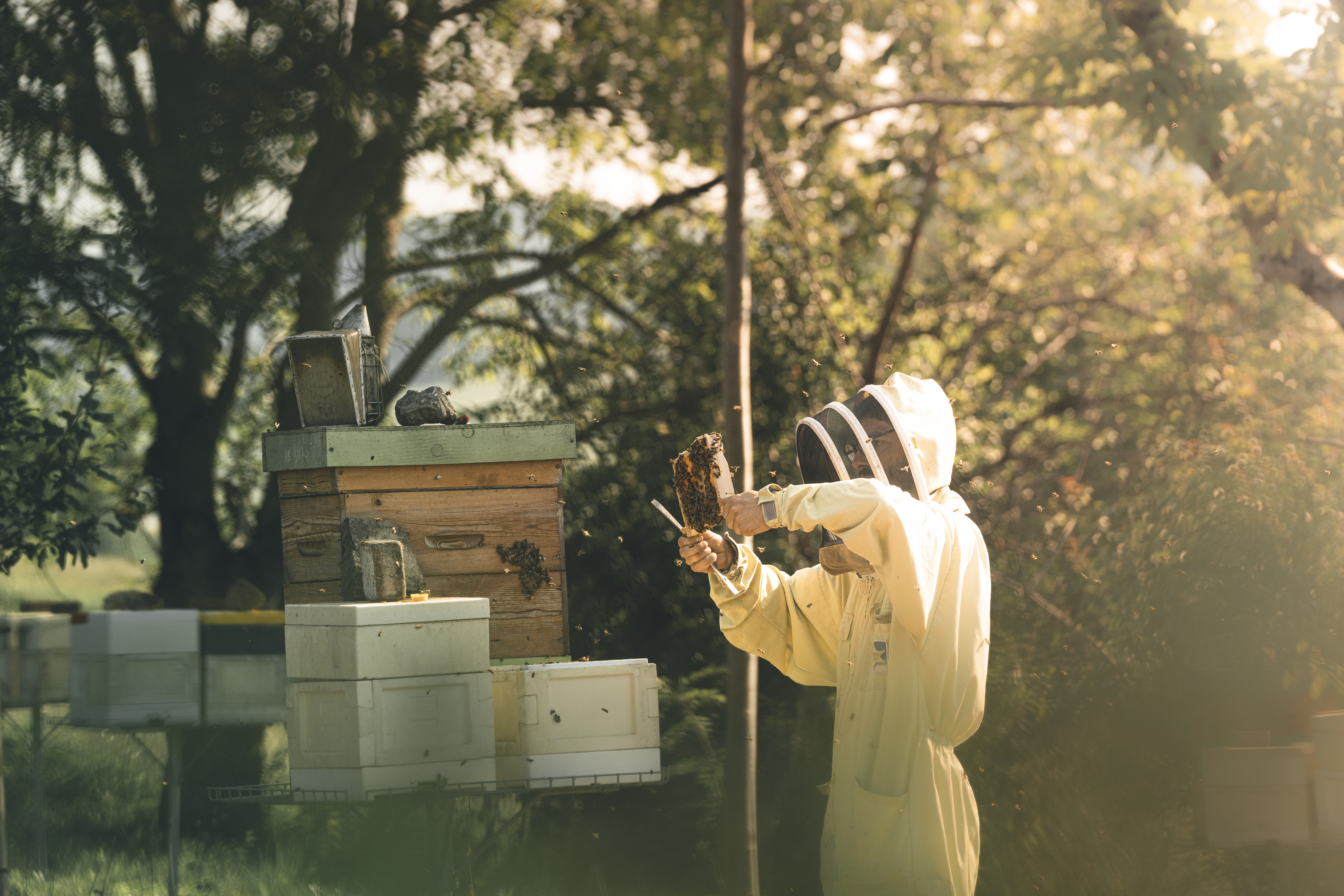 Photo de JULIEN COMPAGNON