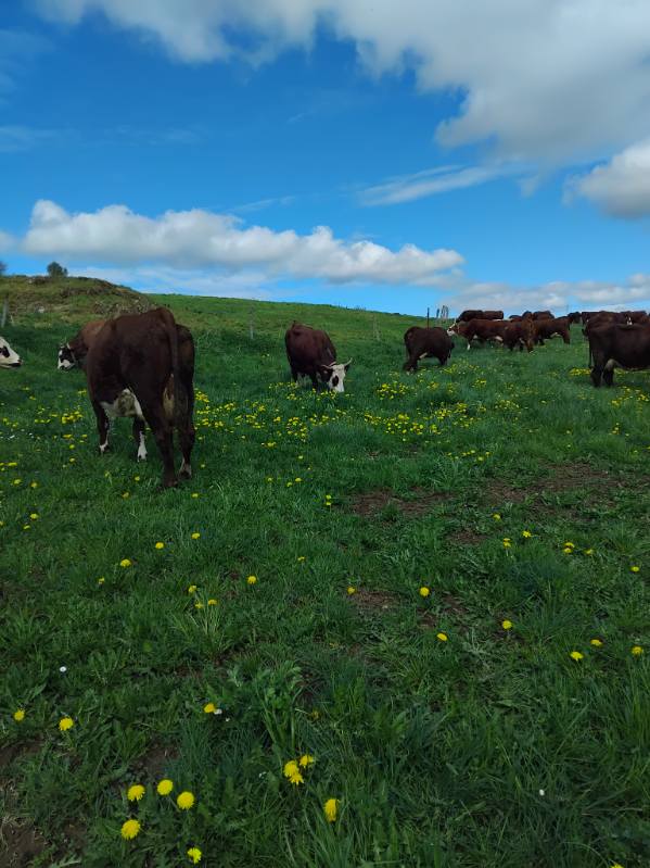 Illustration de l’exploitation GAEC PONS 