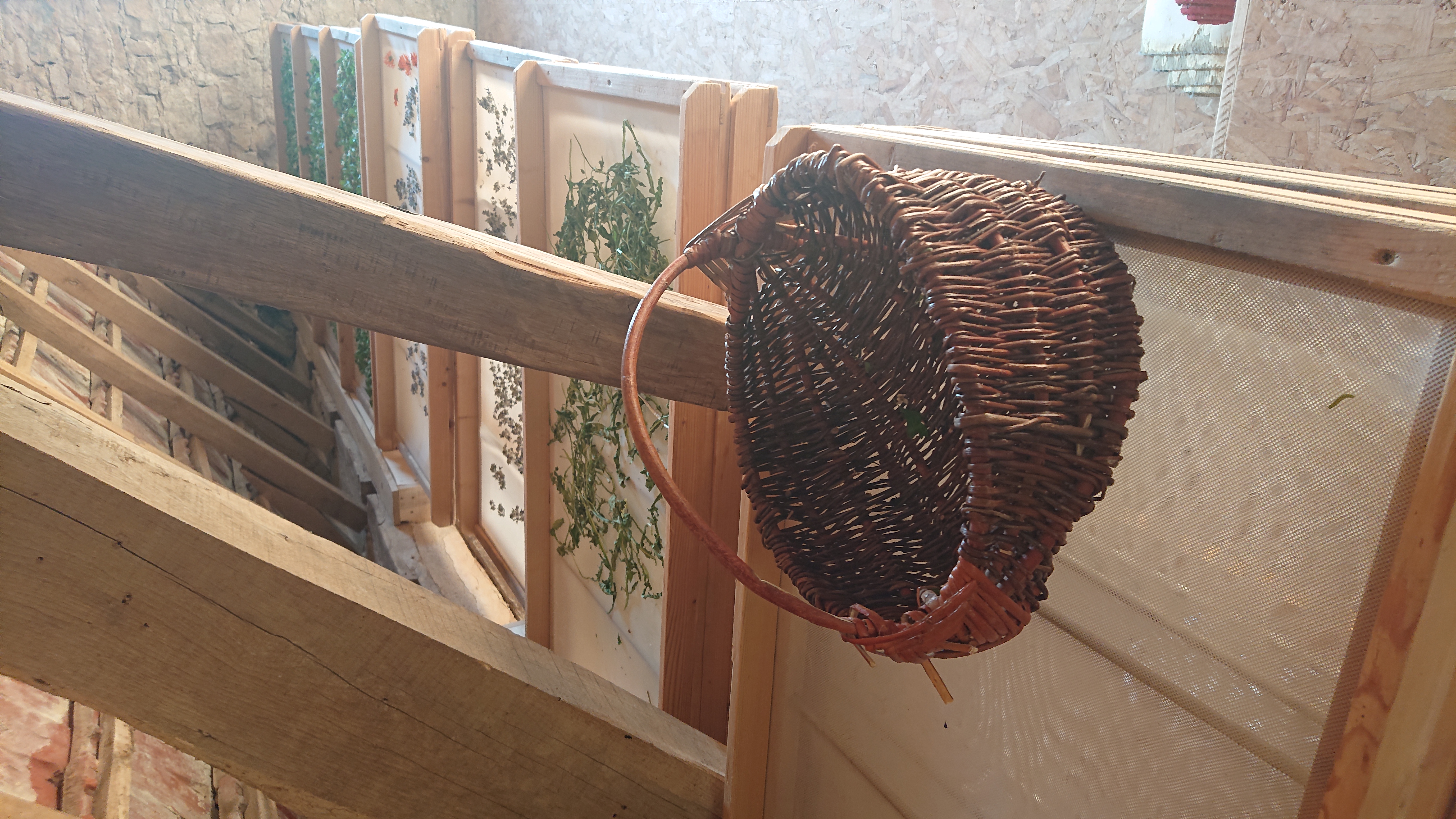 Photo de Les Jardins de Jammes 