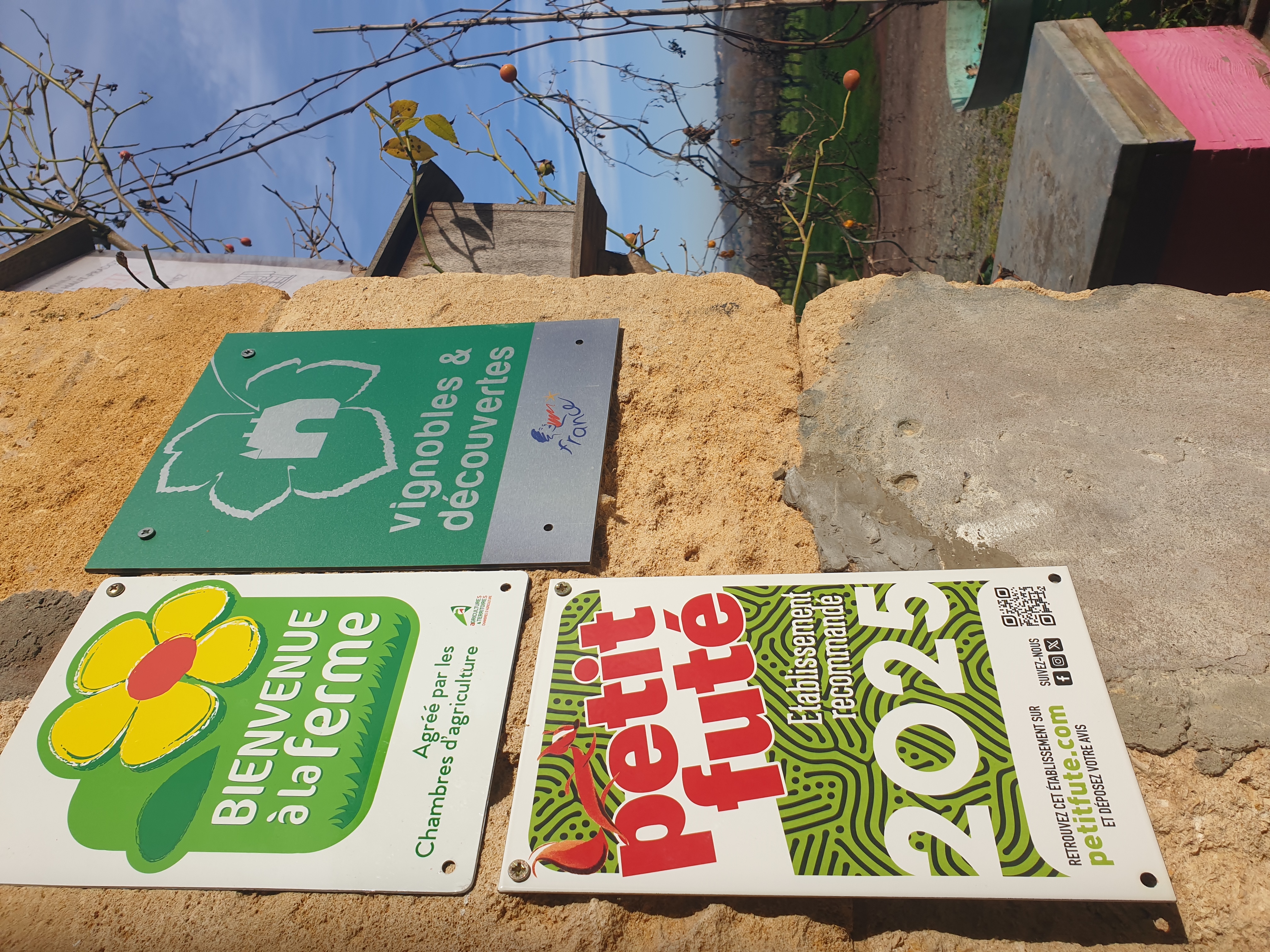 Illustration de l’expérience Vin de Bordeaux 