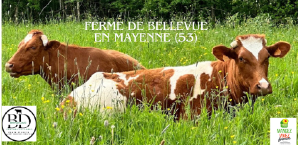 Illustration de l’exploitation GAEC DE BELLEVUE DAVID