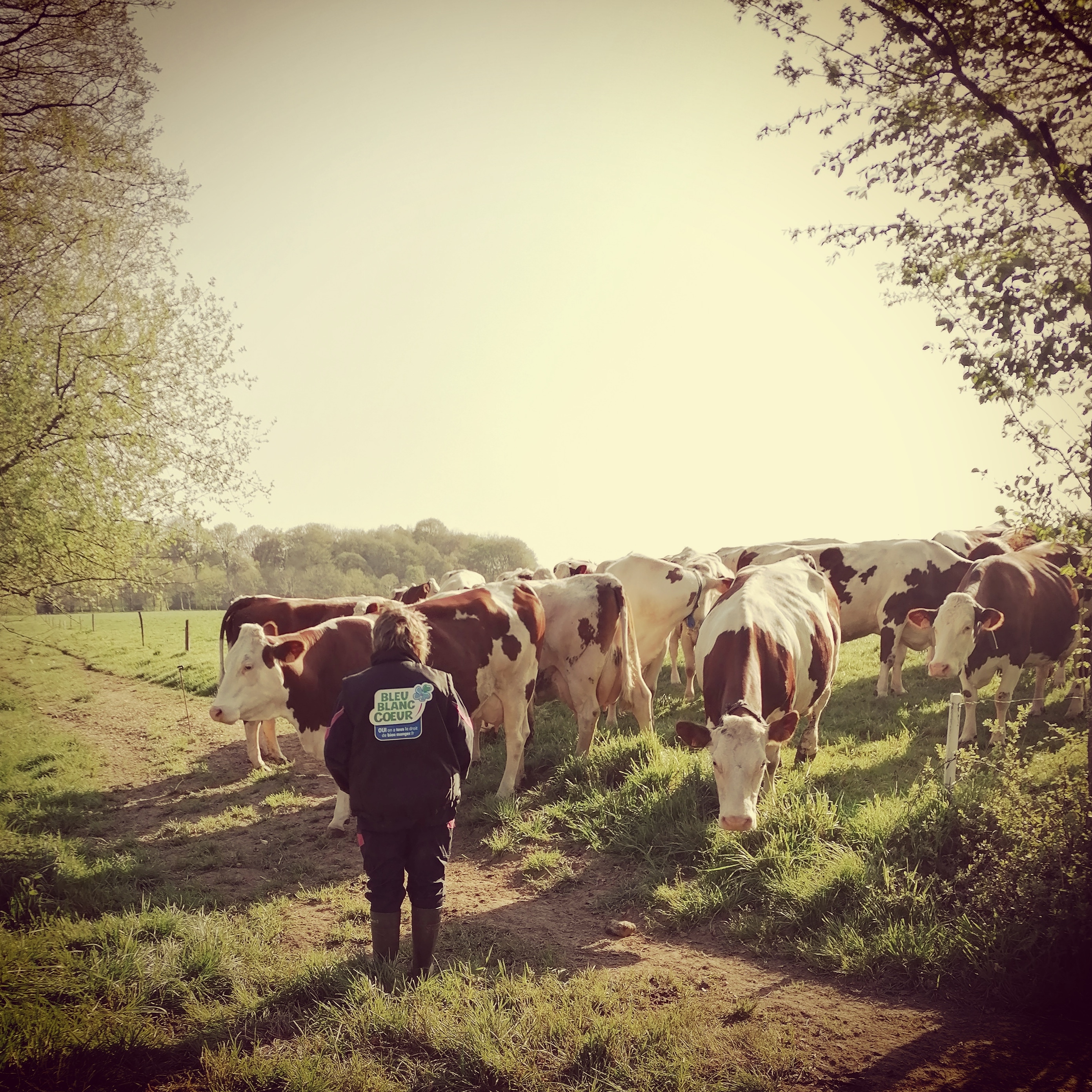 Photo de LA FERME LAIT GAILLARDISES