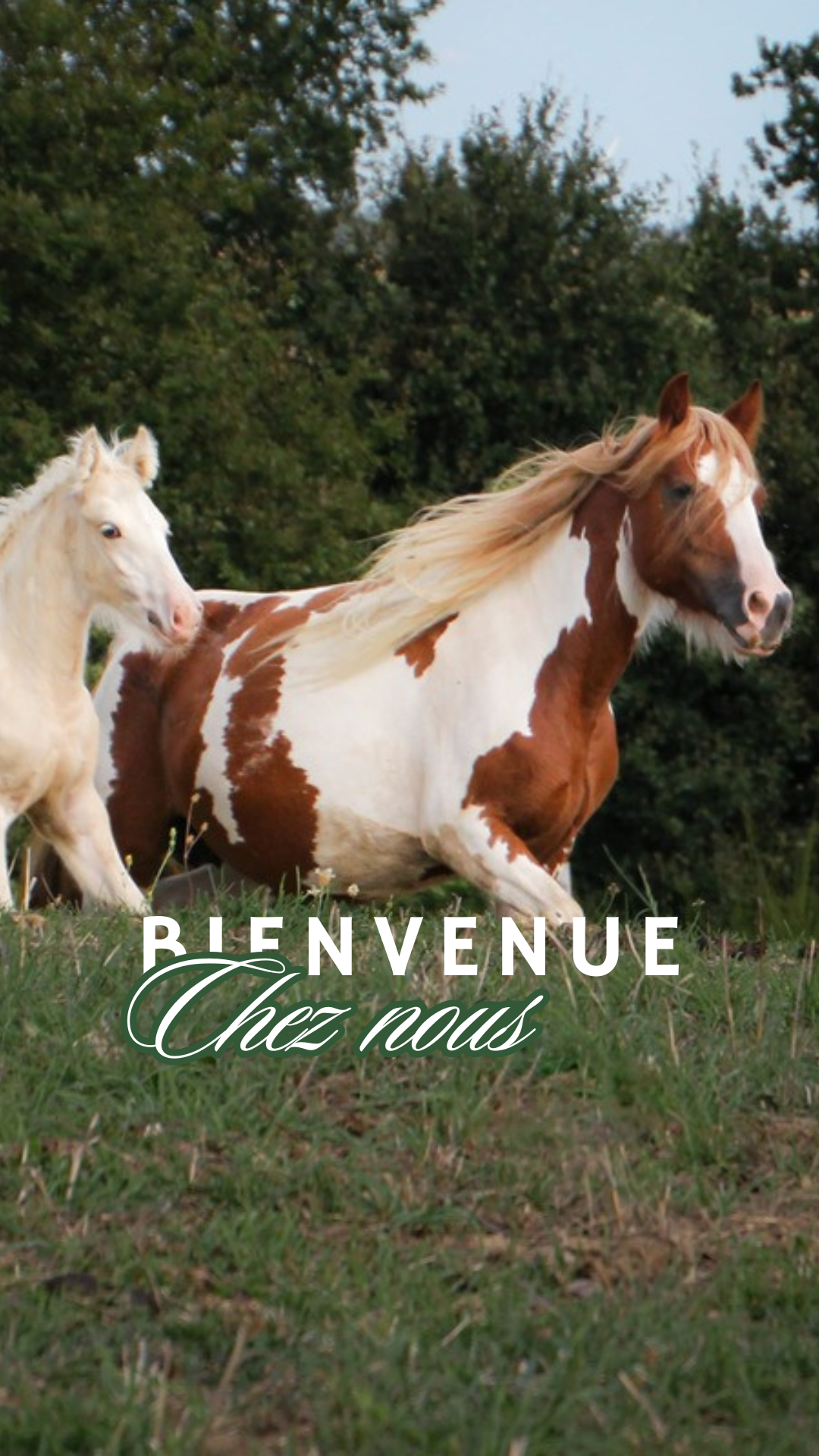 Photo de Élevage Maly 