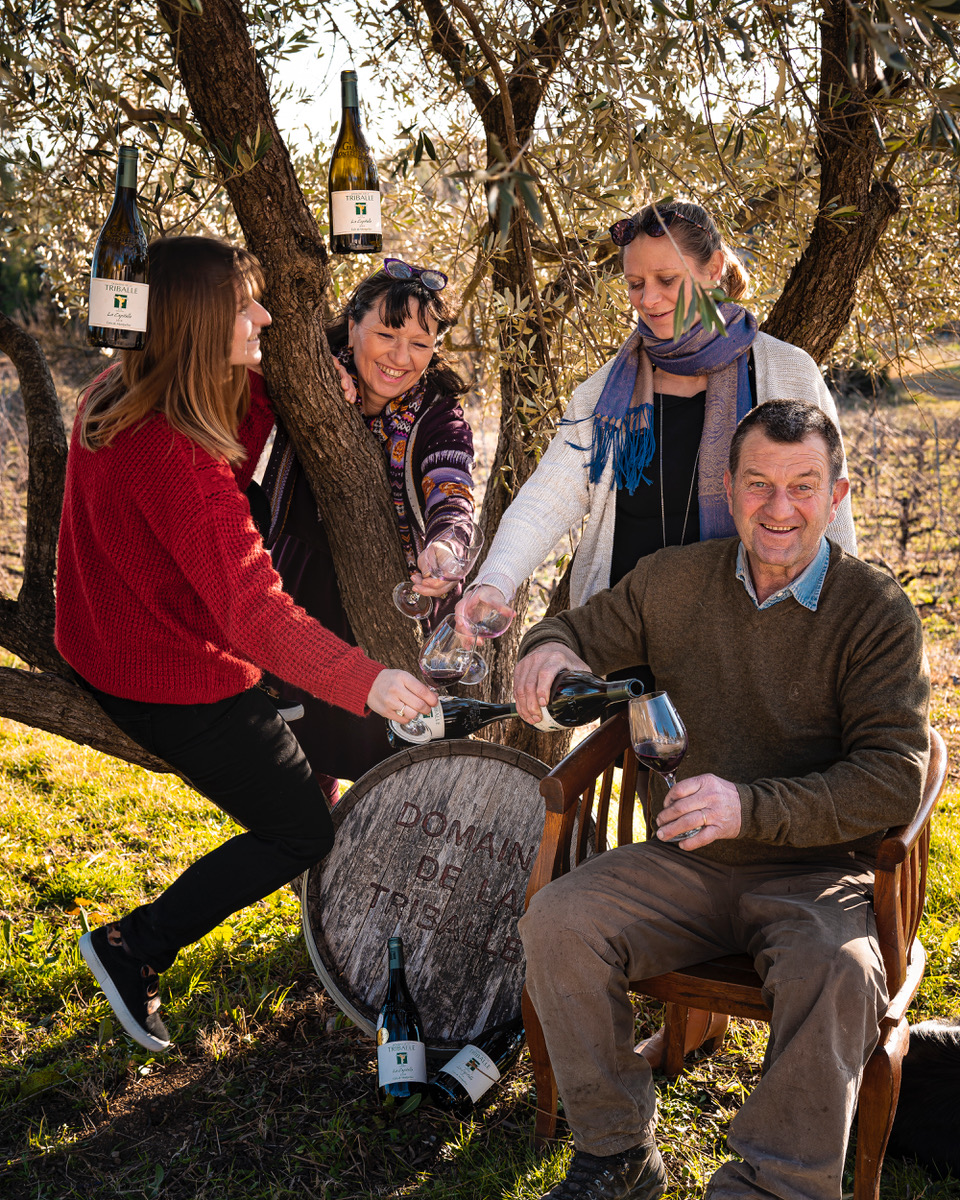 Illustration de l’exploitation Domaine de la Triballe