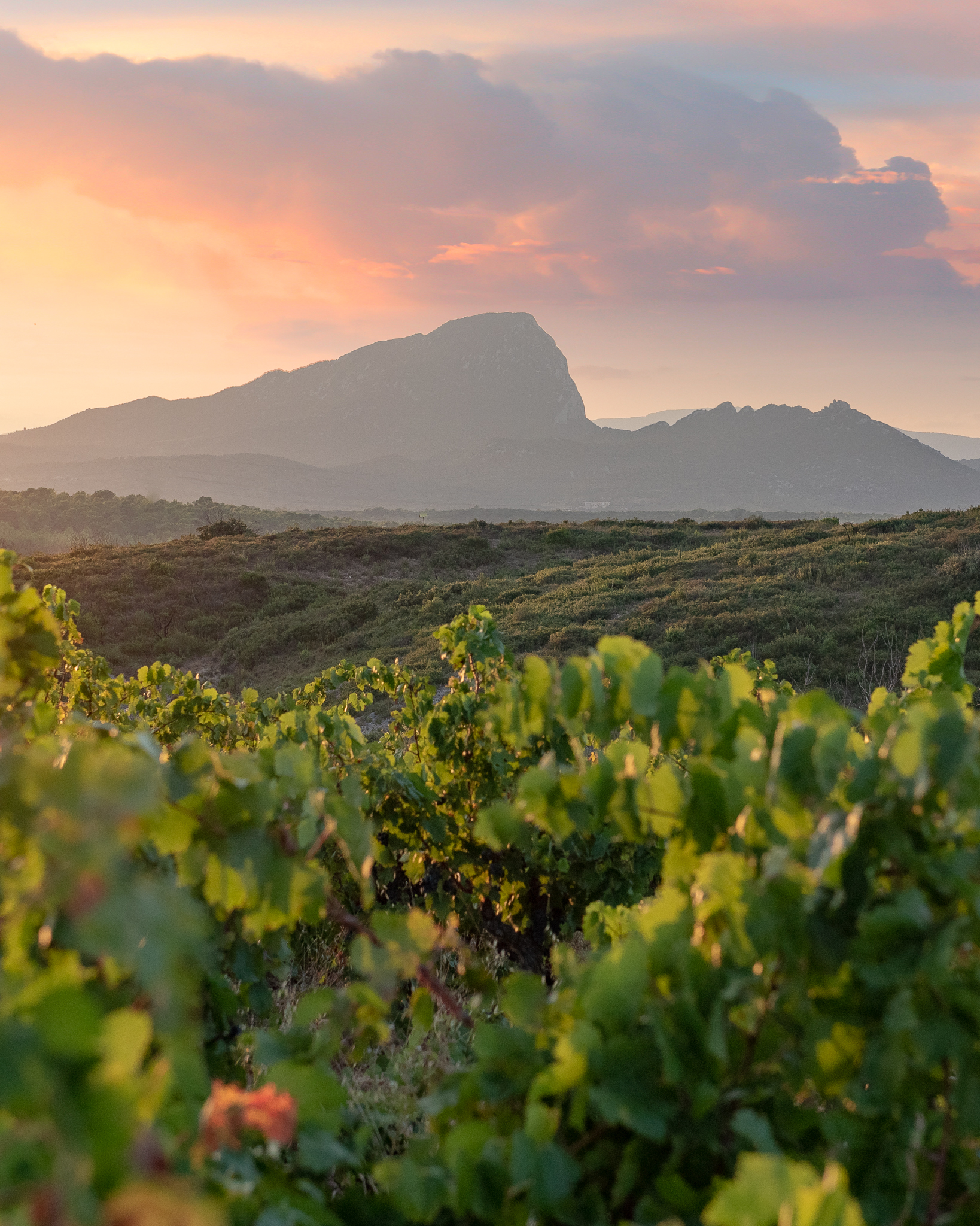 Photo de Domaine de la Triballe