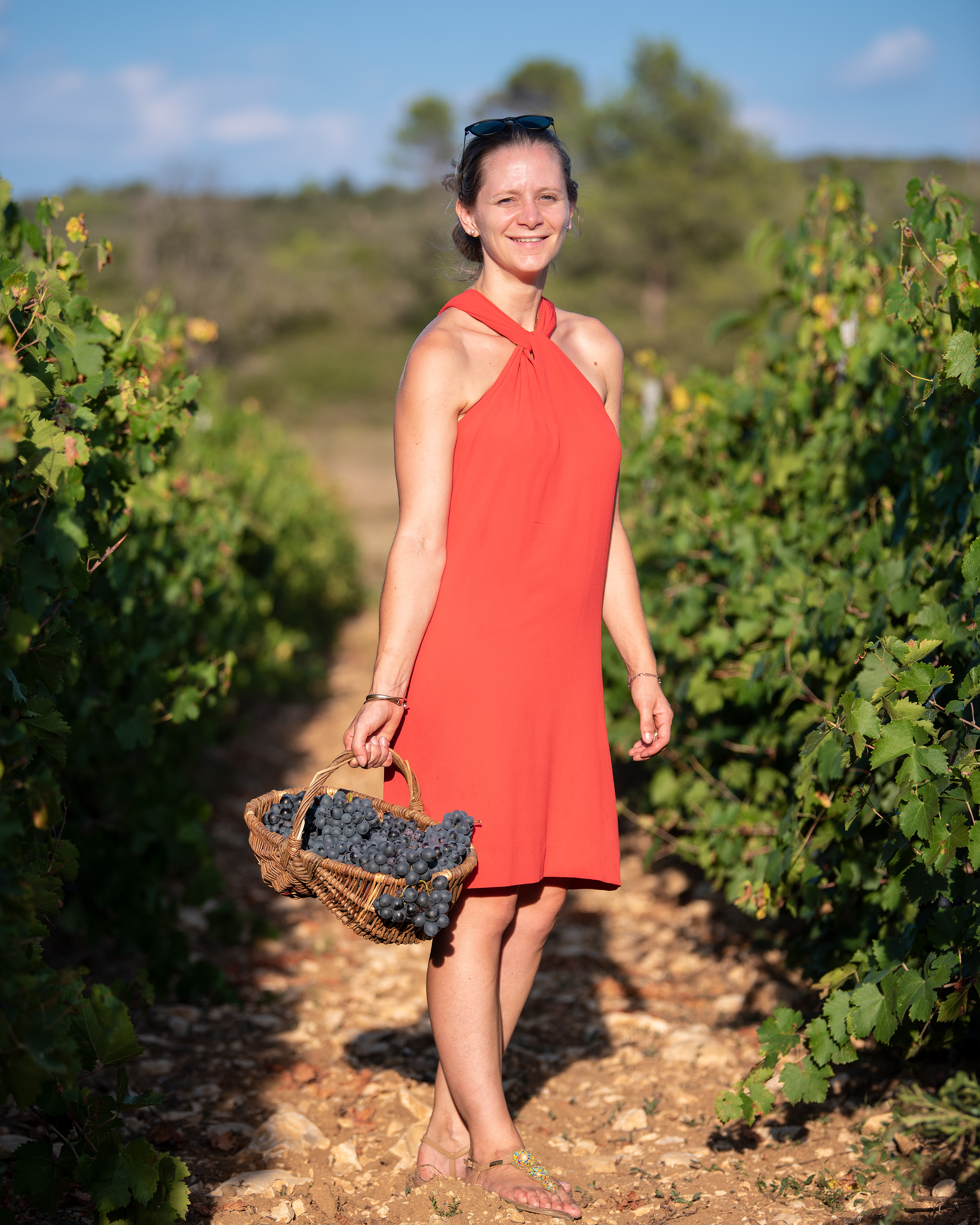 Photo de Domaine de la Triballe