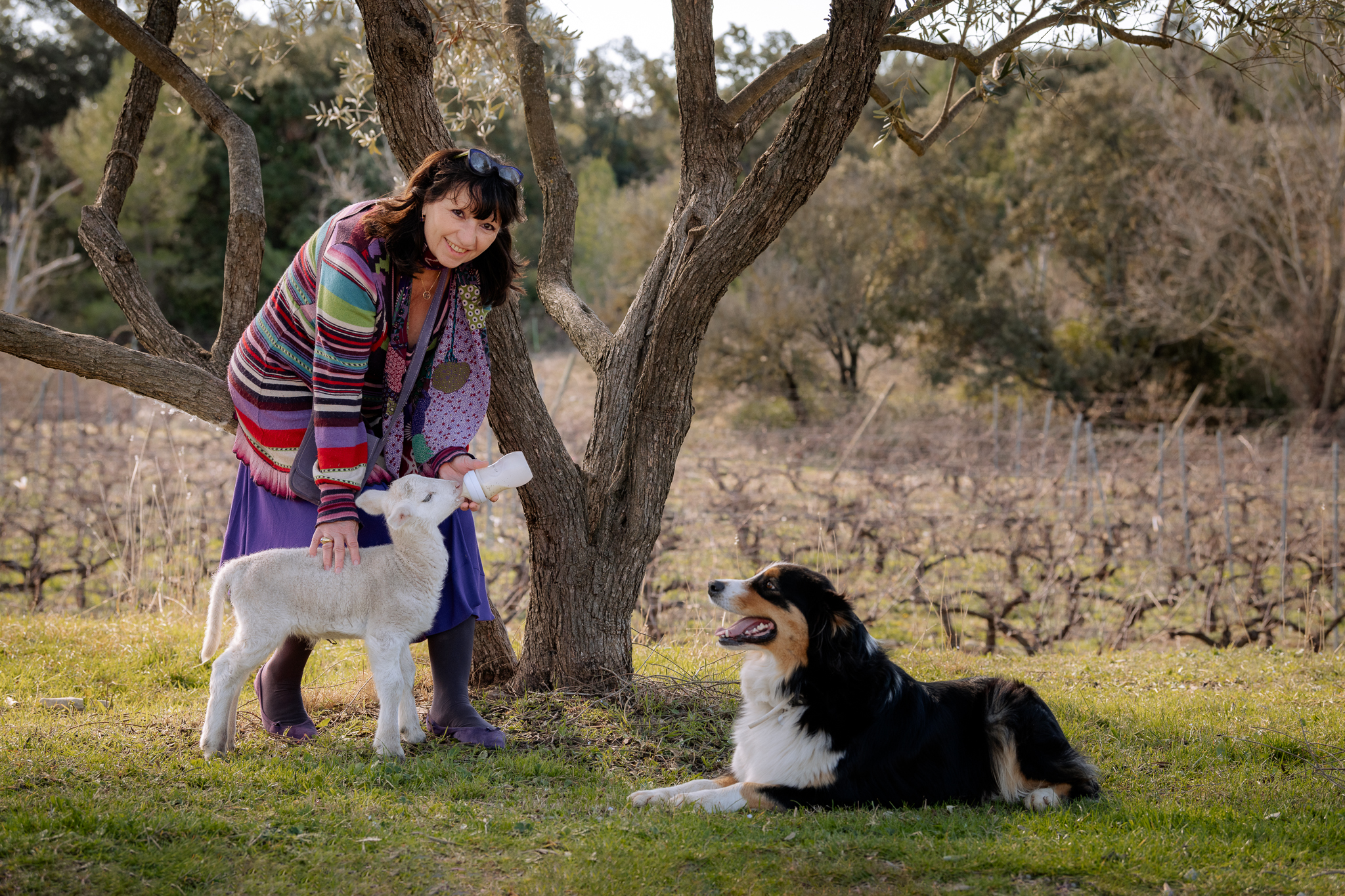 Photo de Domaine de la Triballe