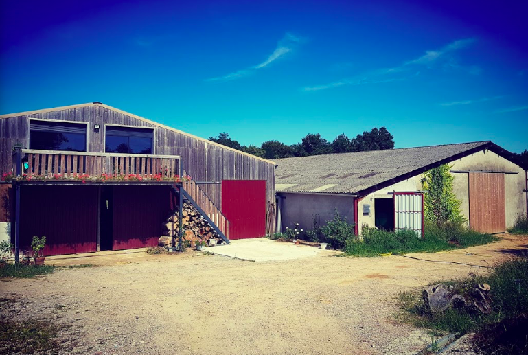 Illustration de l’expérience Produits laitiers, viandes boeuf et canards, oeufs, légumes 
