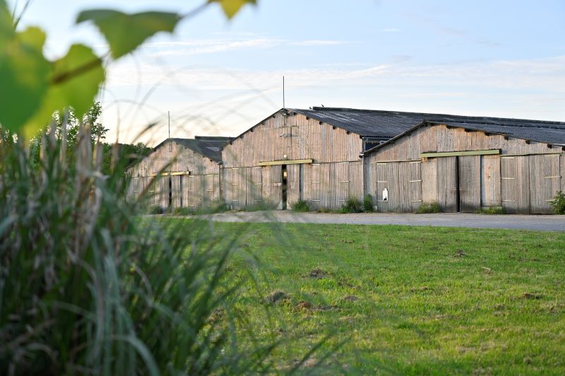 Illustration de l’exploitation Ferme Georgelet