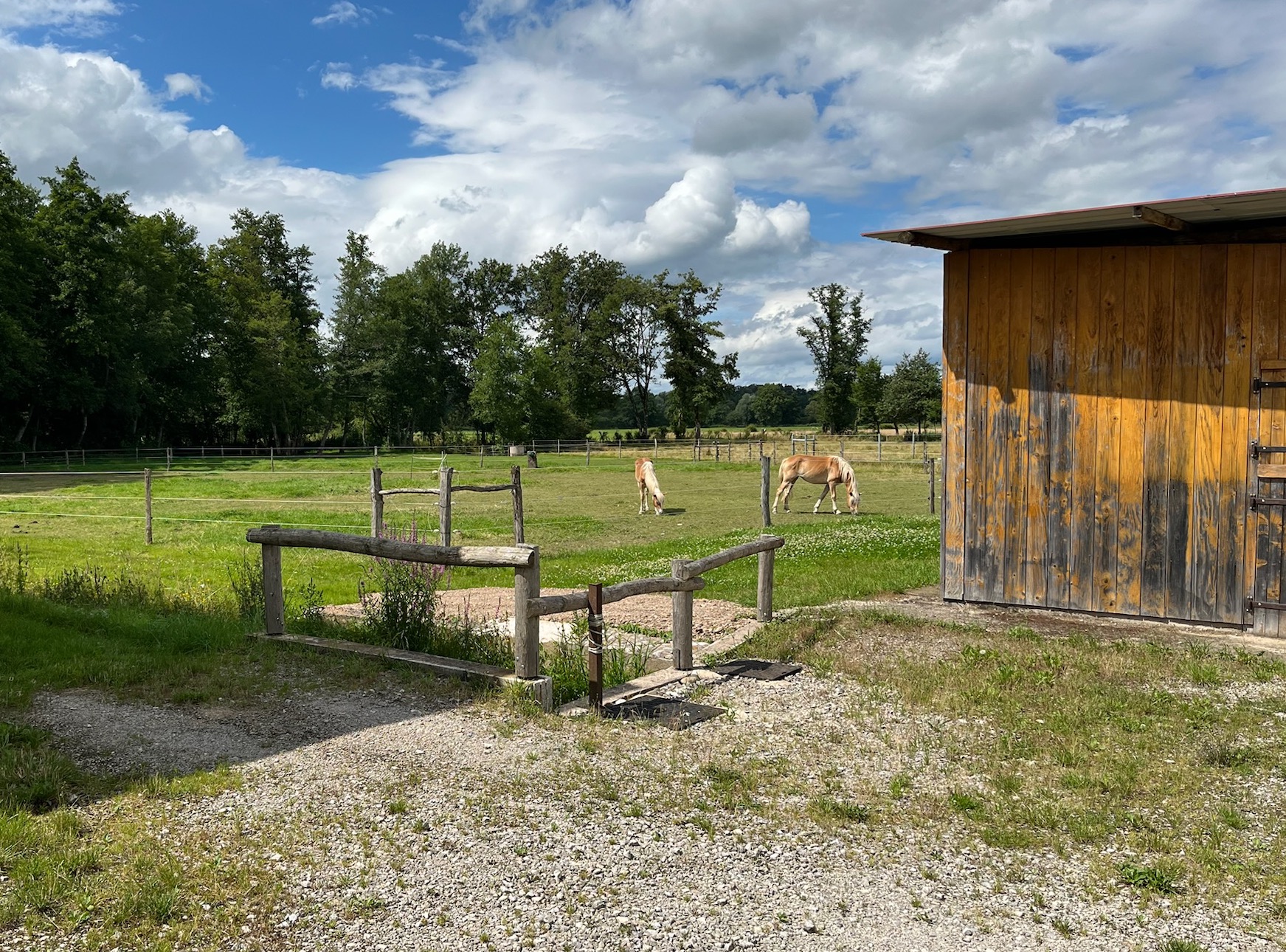 Illustration de l’expérience Studio au sein d'un espace d'accueil à la ferme, le Ranch de la Vaivre