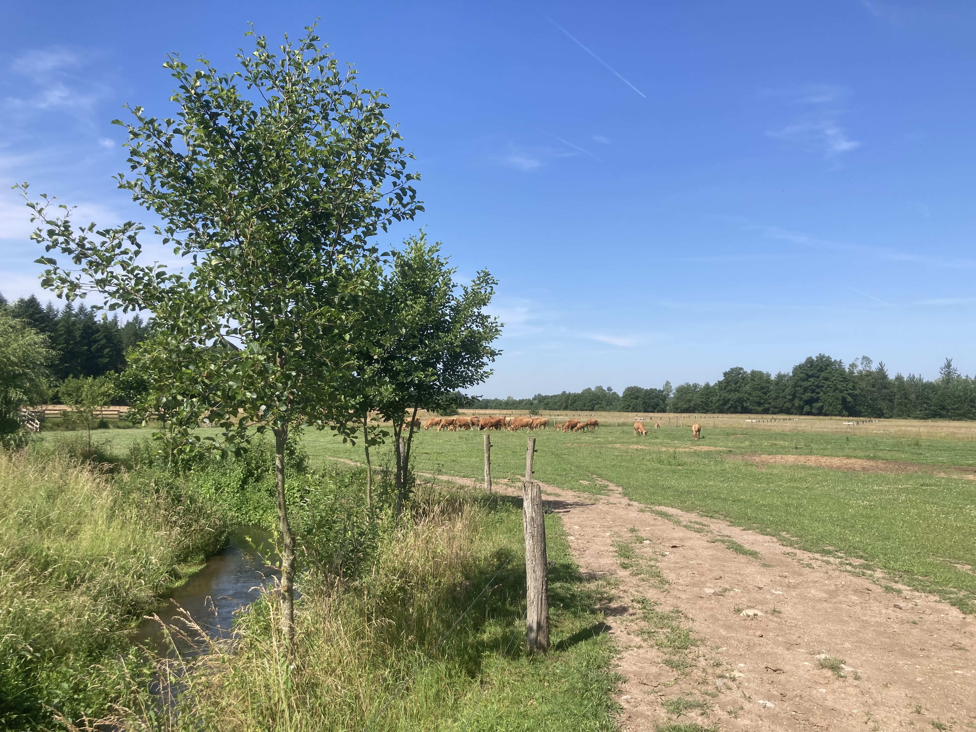 Photo de Visite pédagogique d'une ferme en lien avec son terroir, l'EARL du pont blanc