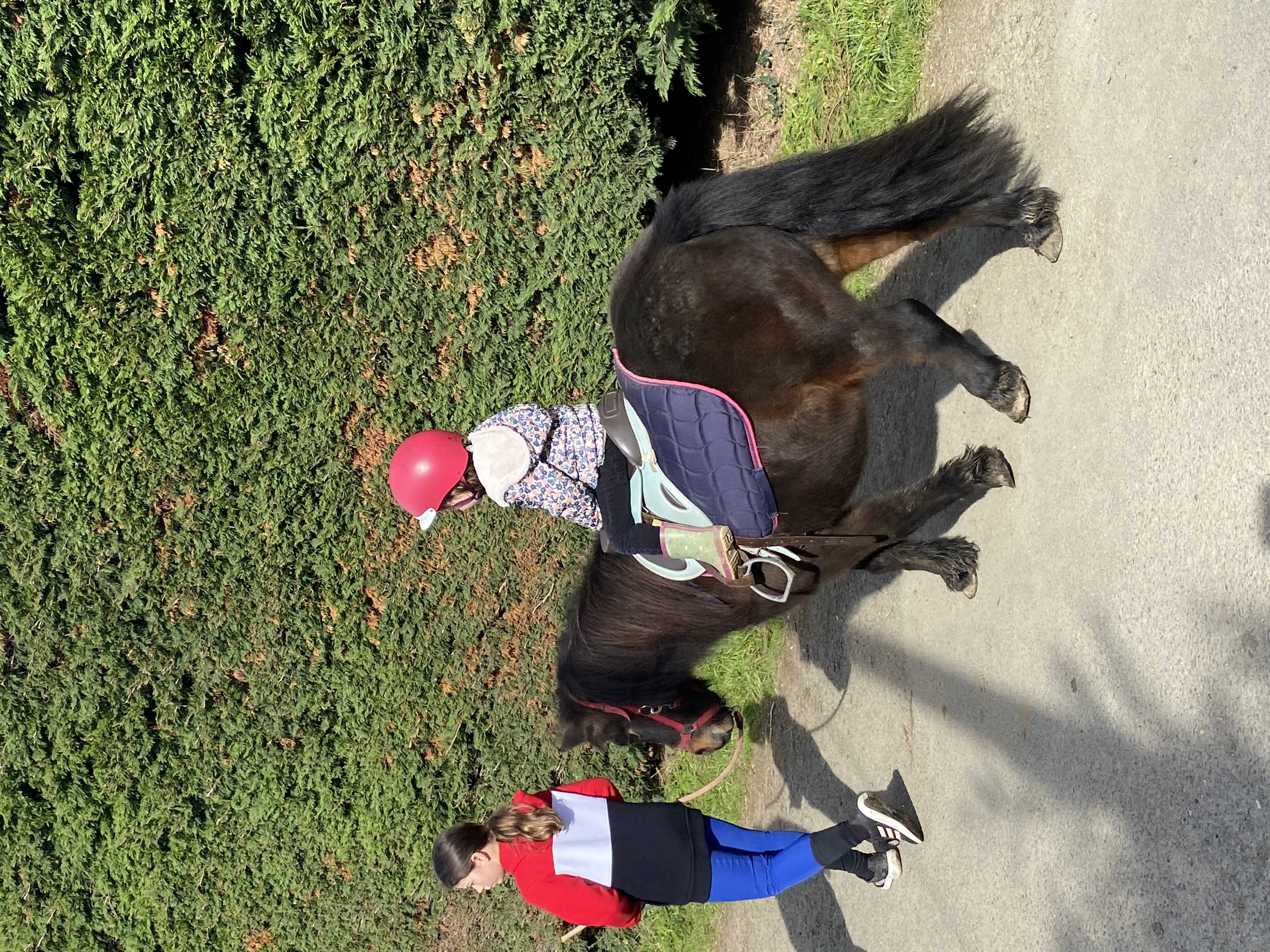 Photo de Balade poney