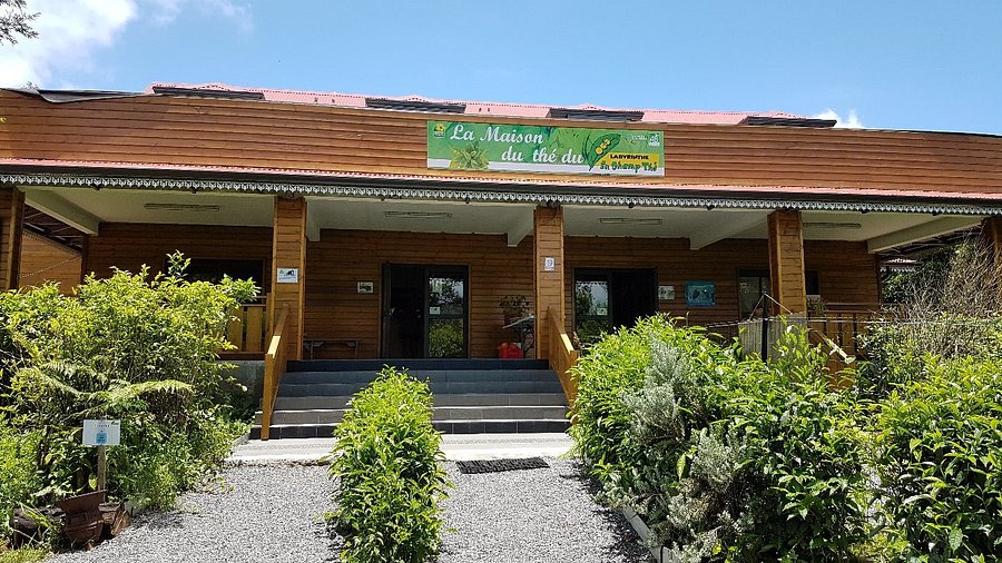 Illustration de l’expérience La Maison du Thé du Labyrinthe En-Champ-Thé