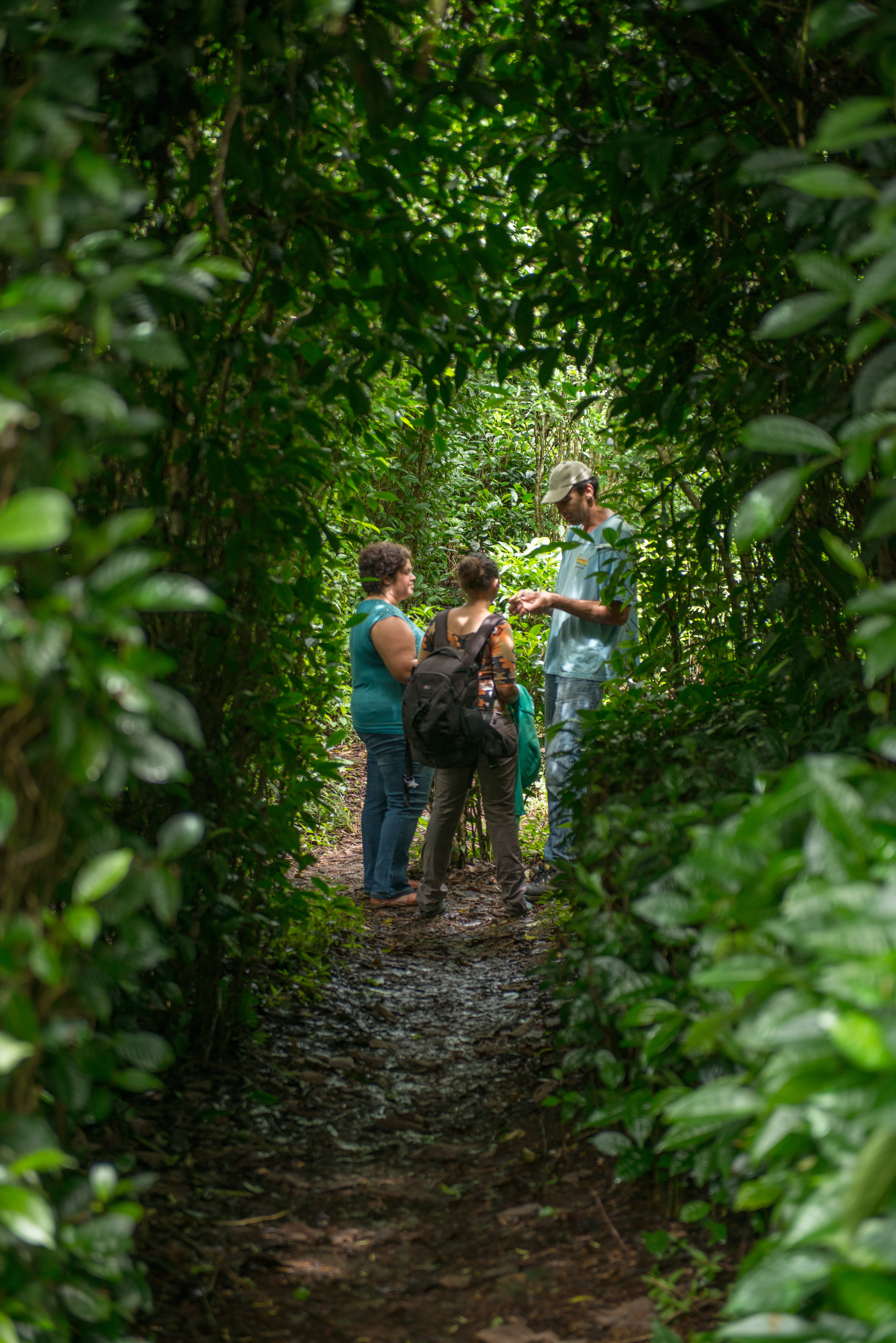 Photo de Visite guidée du Labyrinthe