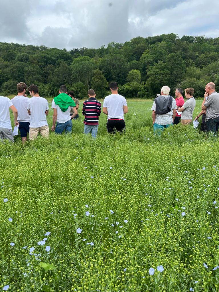 Photo de visite Lin des Pyrénées