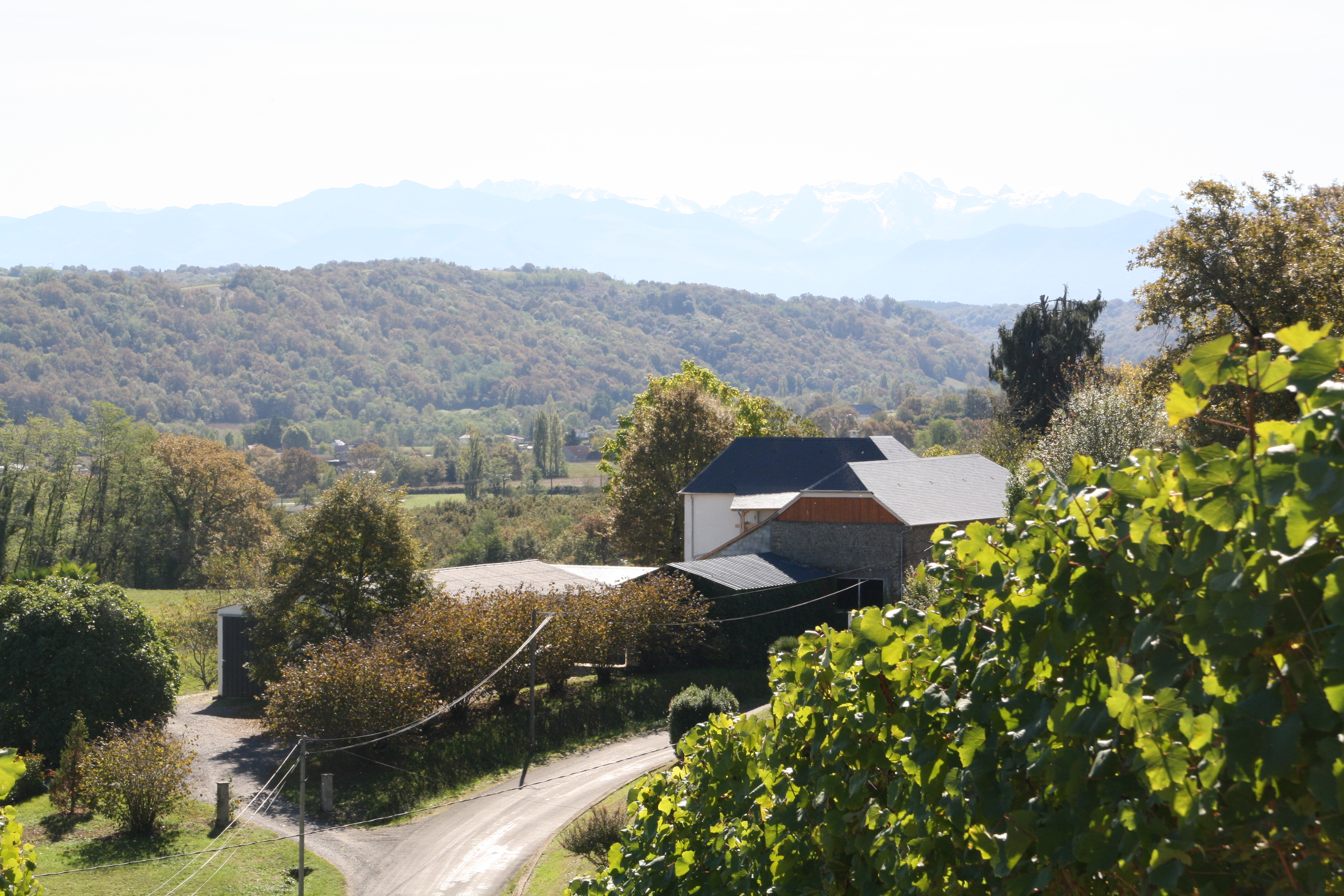 Photo de Balade vigneronne au domaine Le Dôme AOC Jurançon