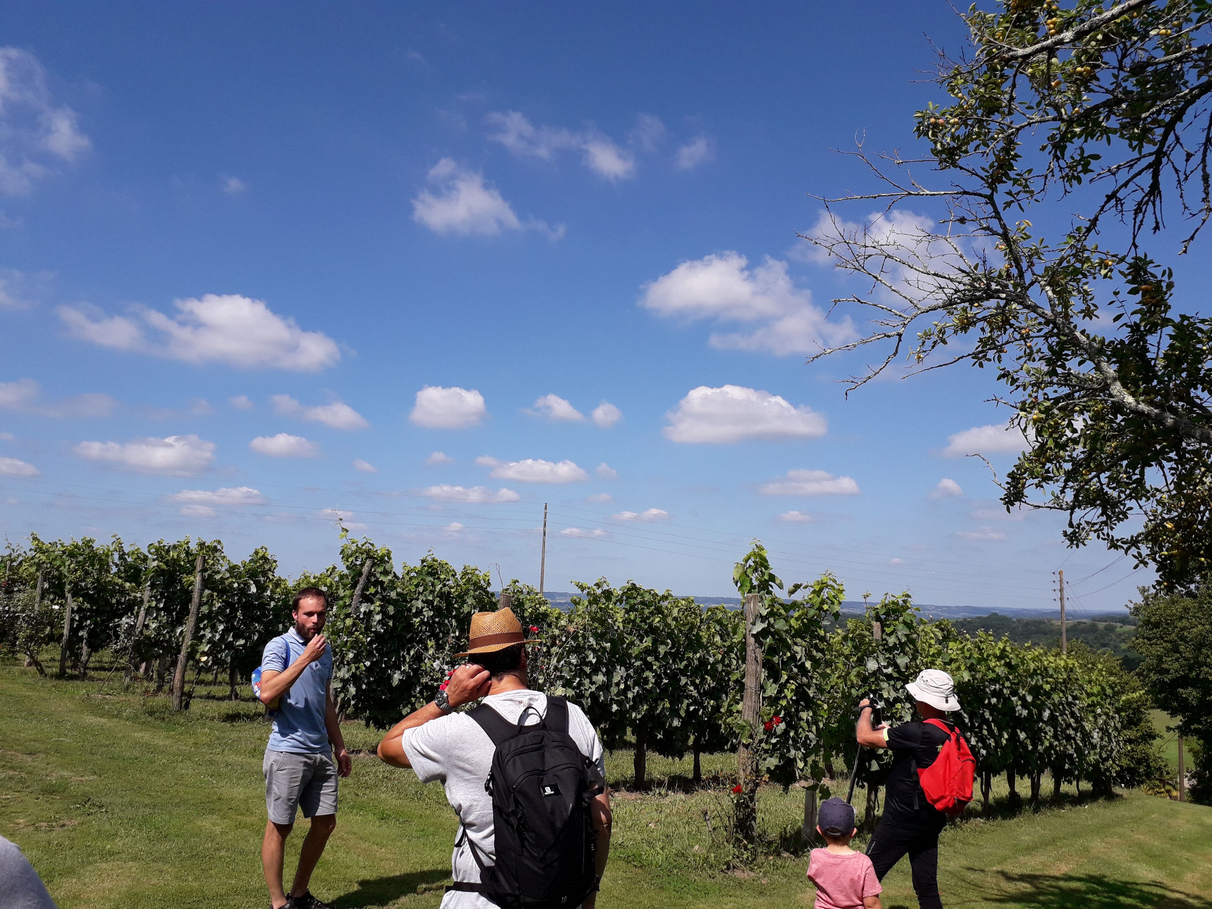 Illustration de l’expérience Balades vigneronnes au Domaine Larroudé en AOC Jurançon