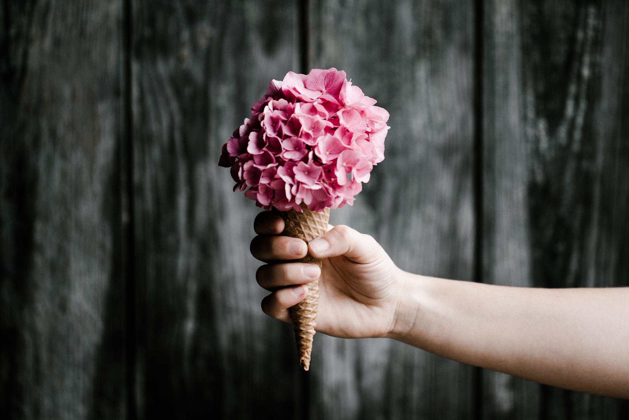 Photo de Soirée bœuf à la broche et chants béarnais